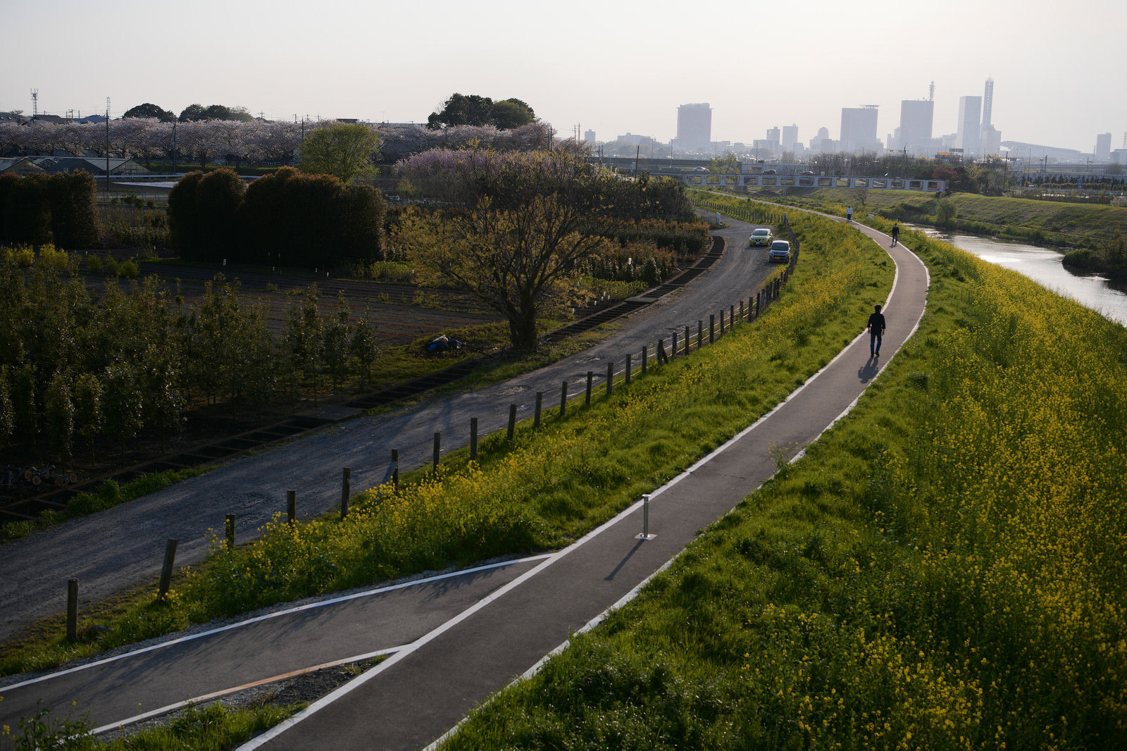 夕焼けの河川敷を歩く人々の写真を無料ダウンロード フリー素材 ぱくたそ