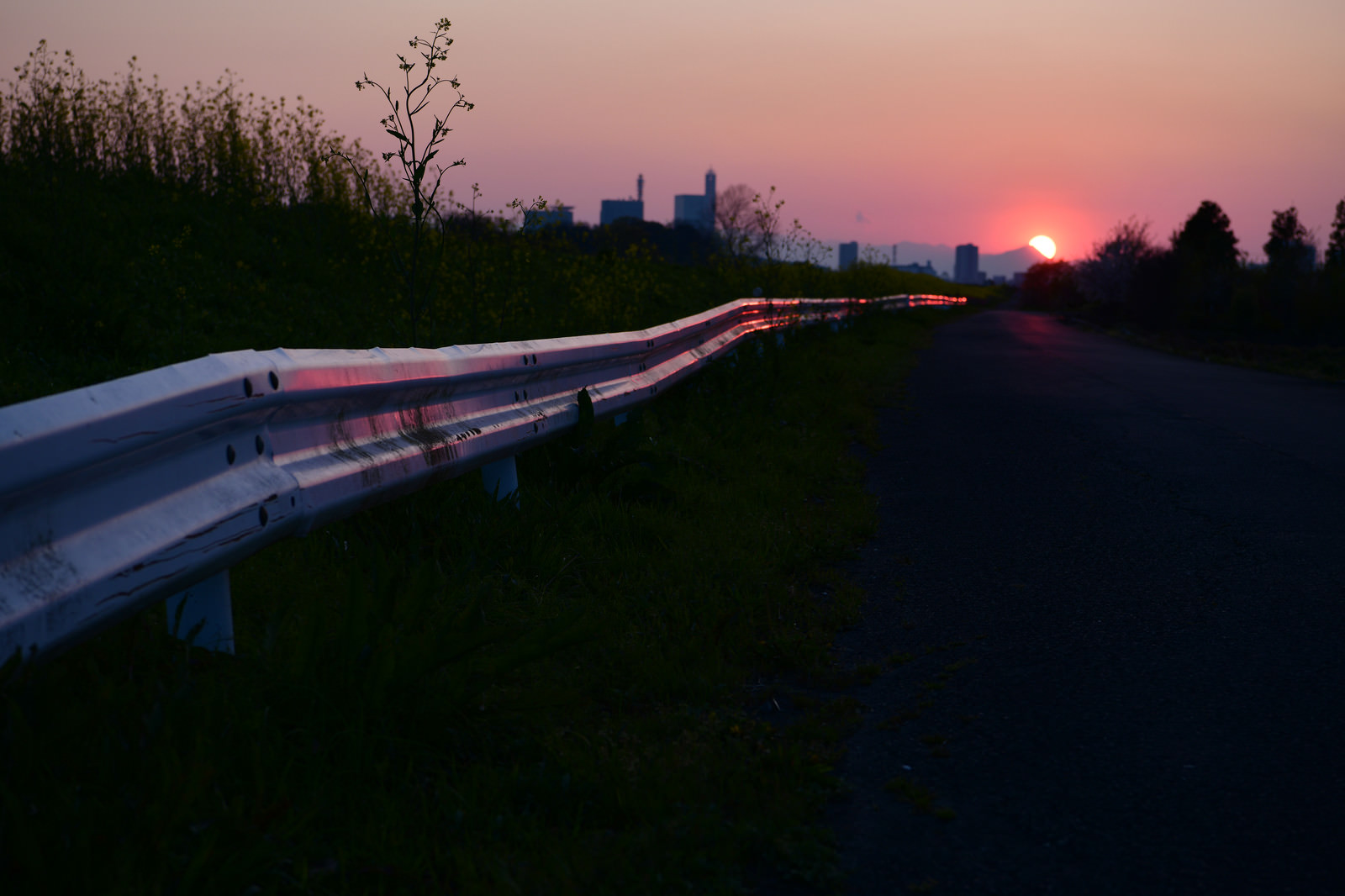 「日没とガードレール | フリー素材のぱくたそ」の写真