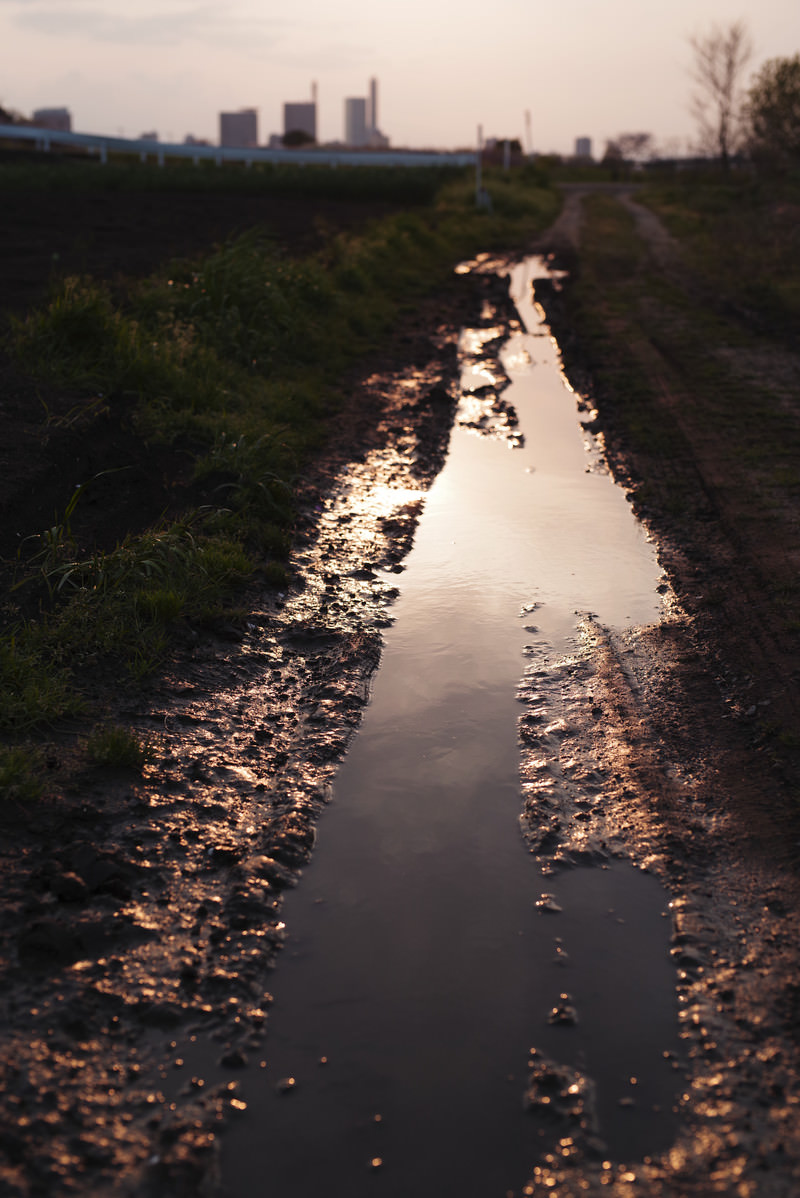 轍に残った水溜りの写真を無料ダウンロード フリー素材 ぱくたそ