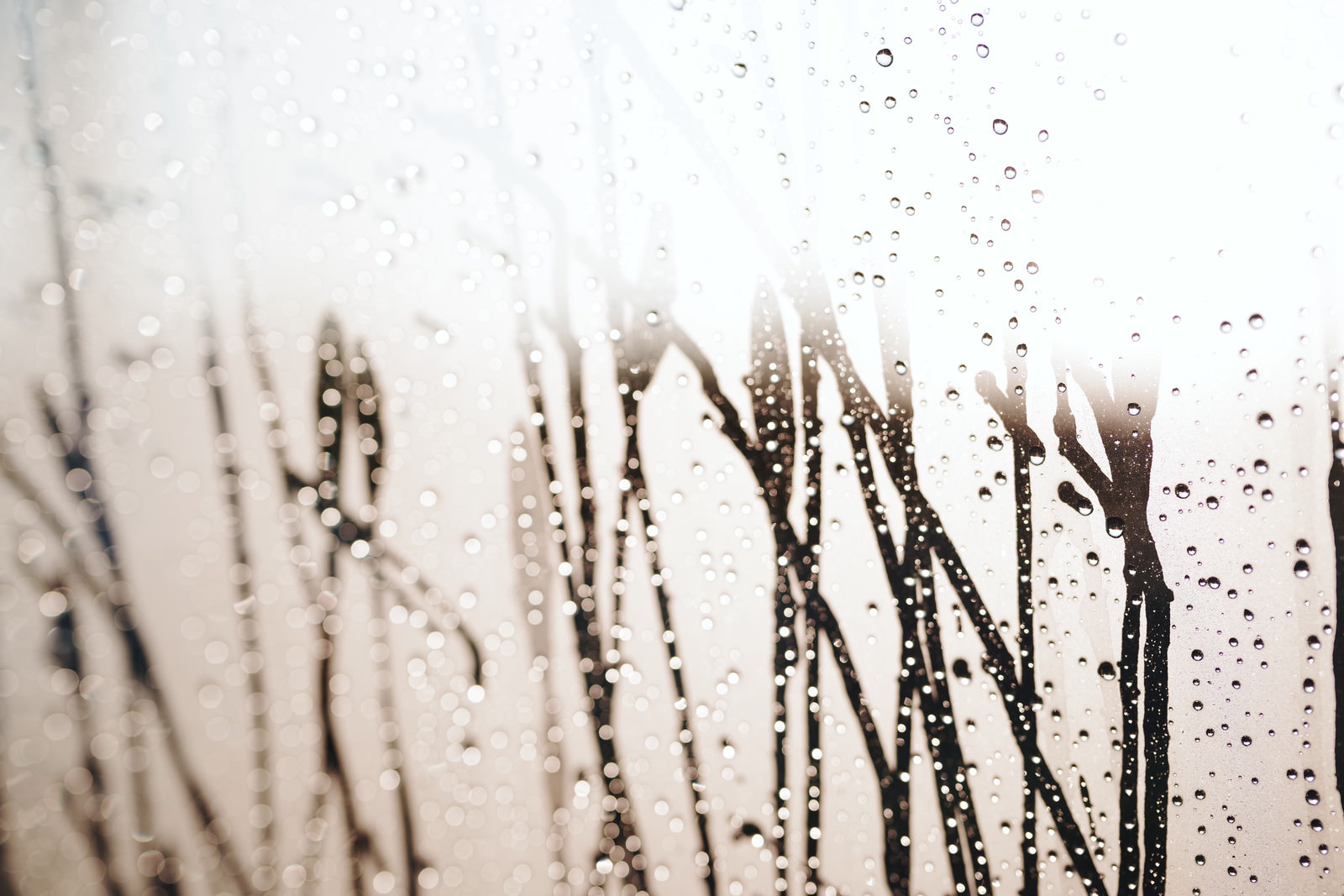 「雲った窓に滴る水滴」の写真