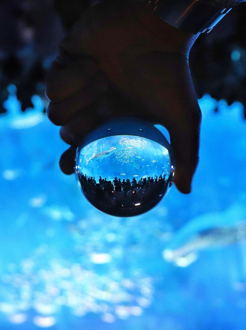 「ガラス玉越しの水族館」の写真