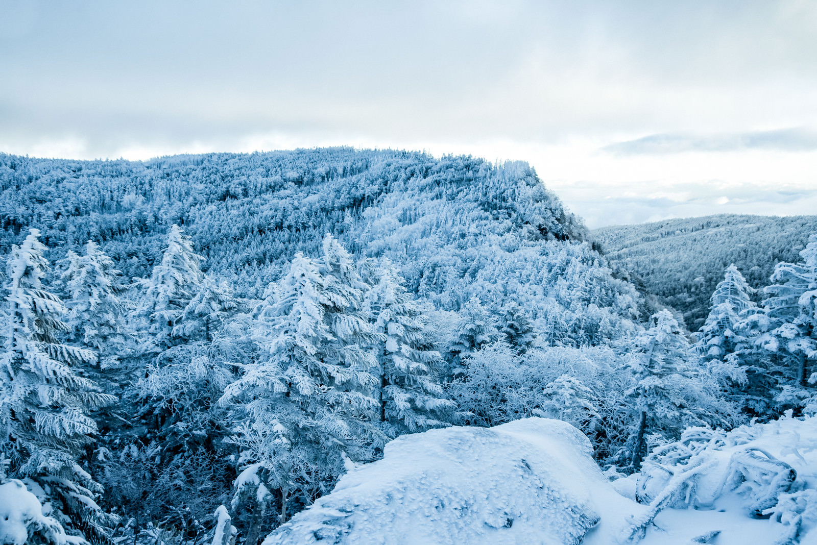 吹雪が去った後の樹氷の森の写真素材 ぱくたそ 吹雪が去った後の樹氷の森の写真素材 ぱくたそ