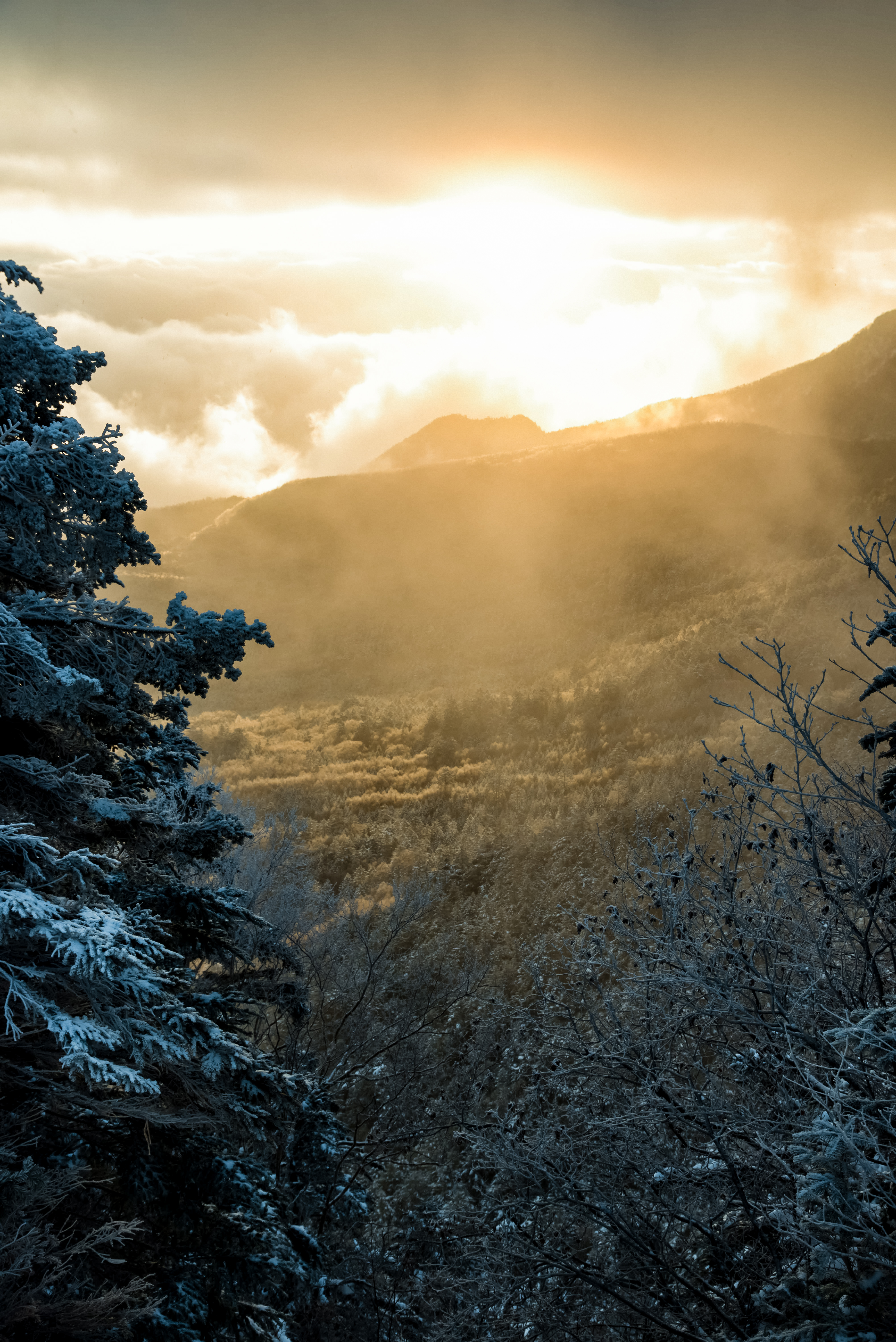 厳冬期の白銀の森と差し込む朝日の写真素材 ぱくたそ