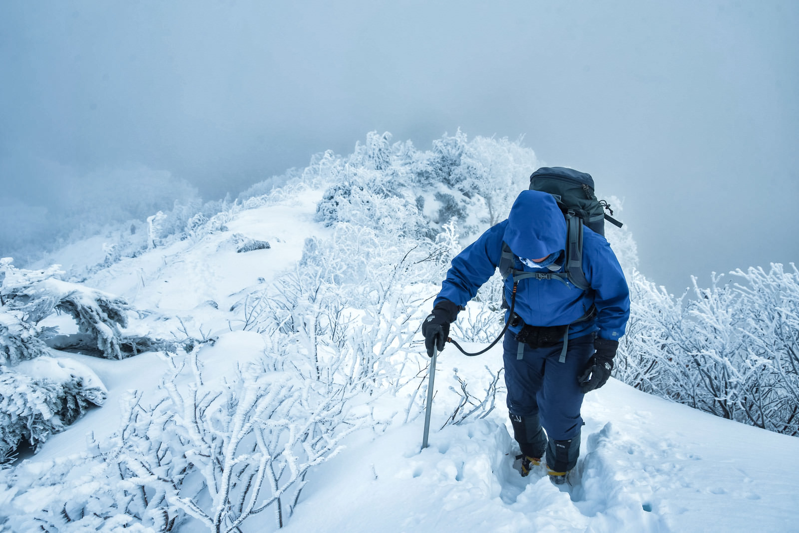 雪深い登山道で山頂を目指す登山者の写真 画像 を無料ダウンロード フリー素材のぱくたそ