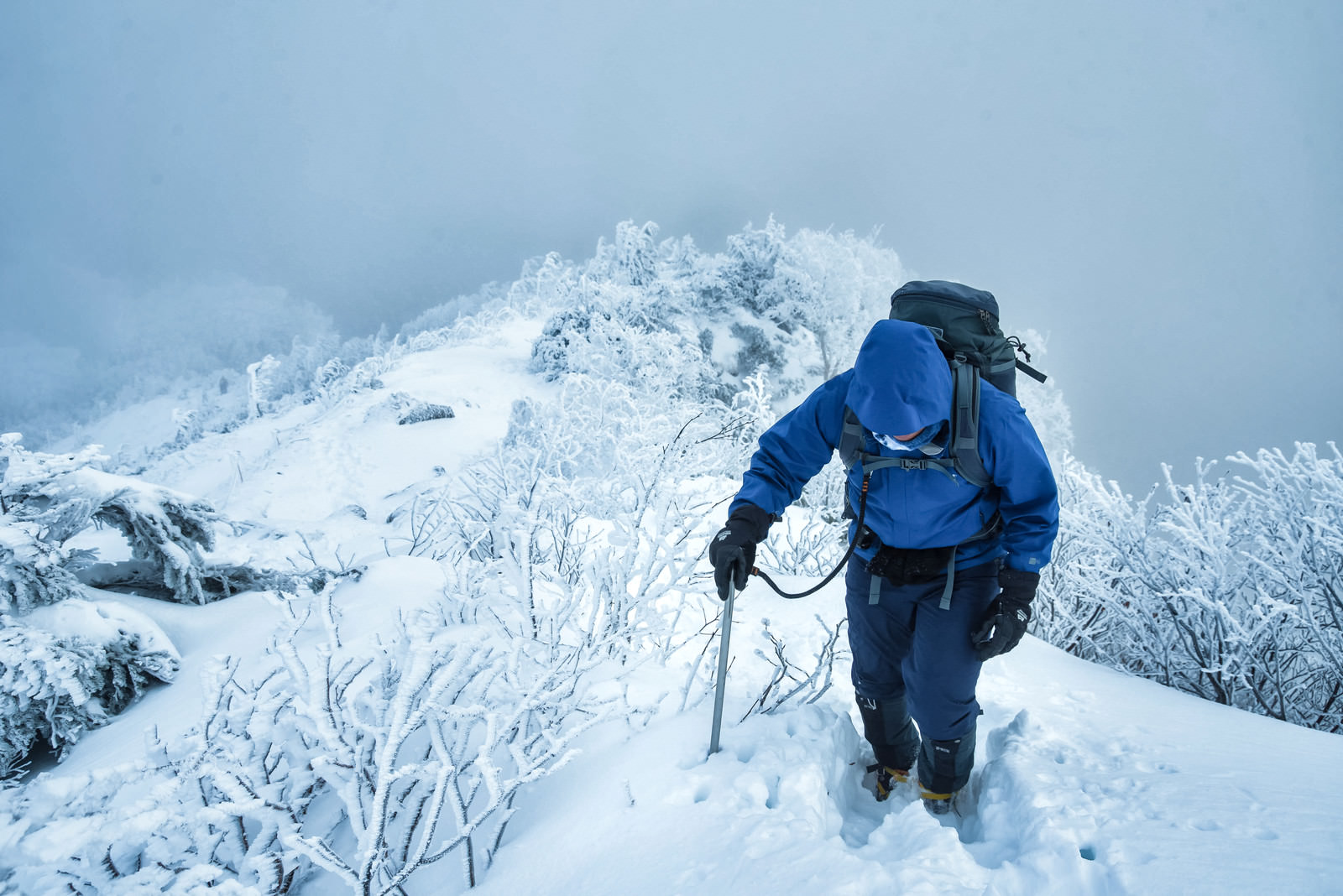 雪深い登山道で山頂を目指す登山者の写真を無料ダウンロード フリー素材 ぱくたそ 雪深い登山道で山頂を目指す登山者の写真を無料ダウンロード フリー素材 ぱくたそ