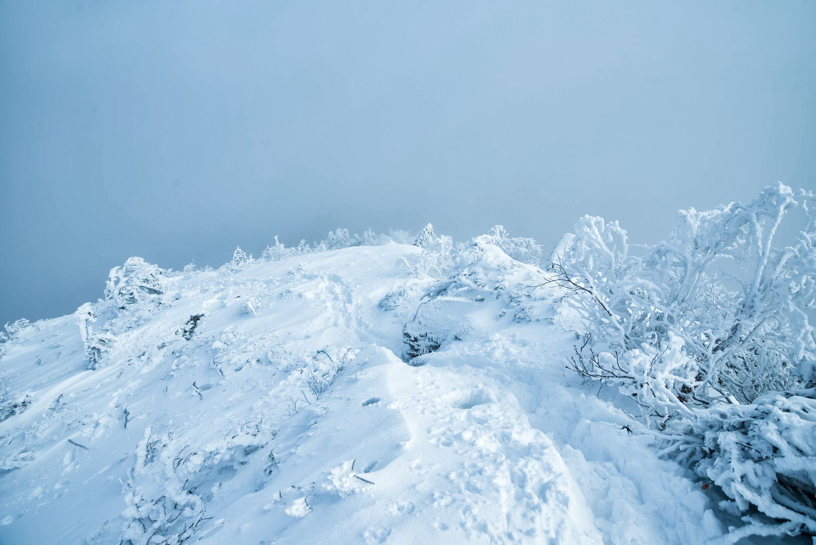 積雪の登山道に残る足跡の写真を無料ダウンロード フリー素材 ぱくたそ