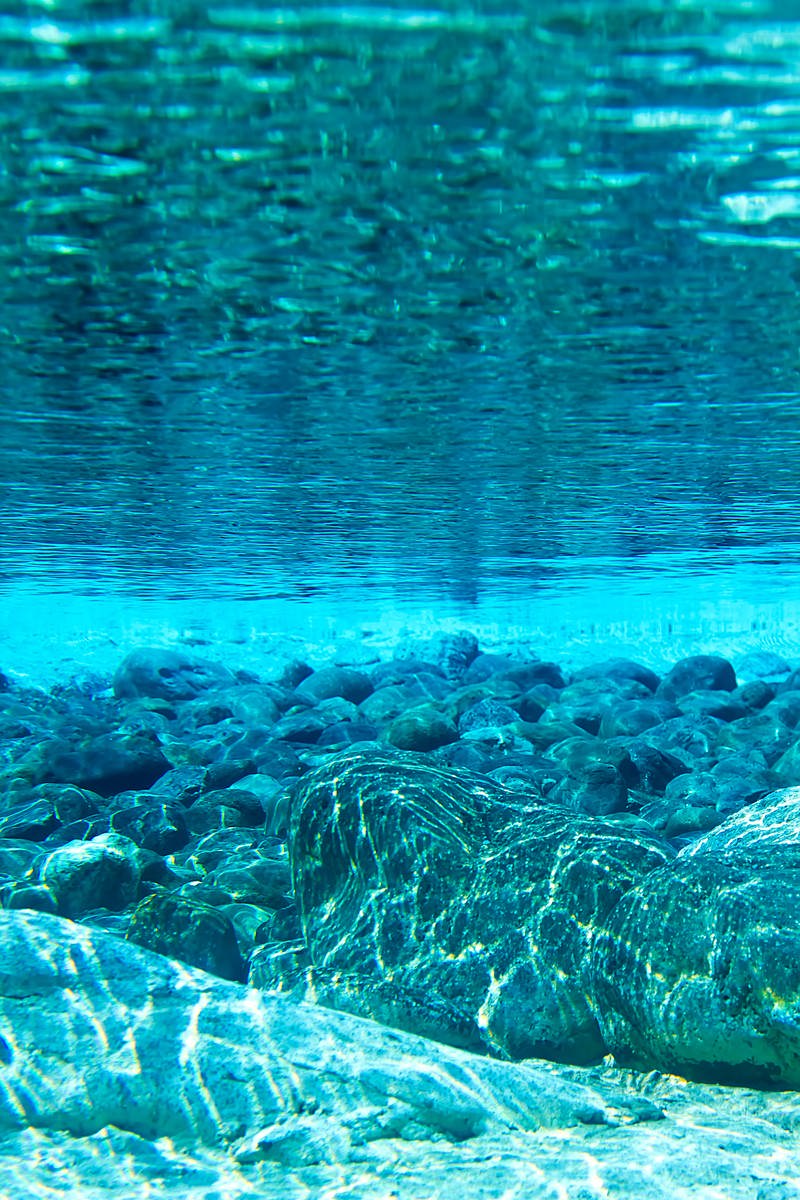 「水中からの岩場」の写真