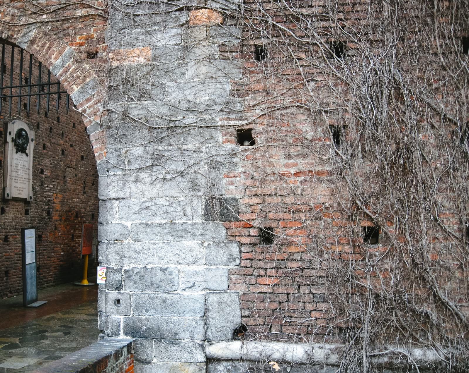 「蔦の這うレンガ造りの城門（スフォルツェスコ城） | フリー素材のぱくたそ」の写真