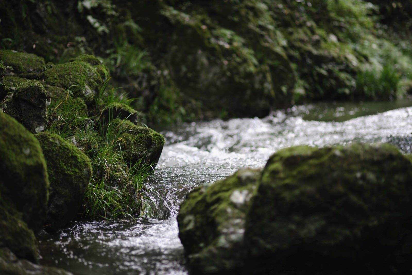 清らかな水の流れの写真を無料ダウンロード フリー素材 ぱくたそ