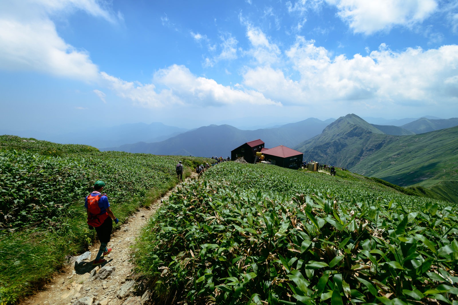 ãè°·å·ã®å°¾æ ¹ãæ­©ãå±±å°å±ãç®æãç»å±±èéãã®åç