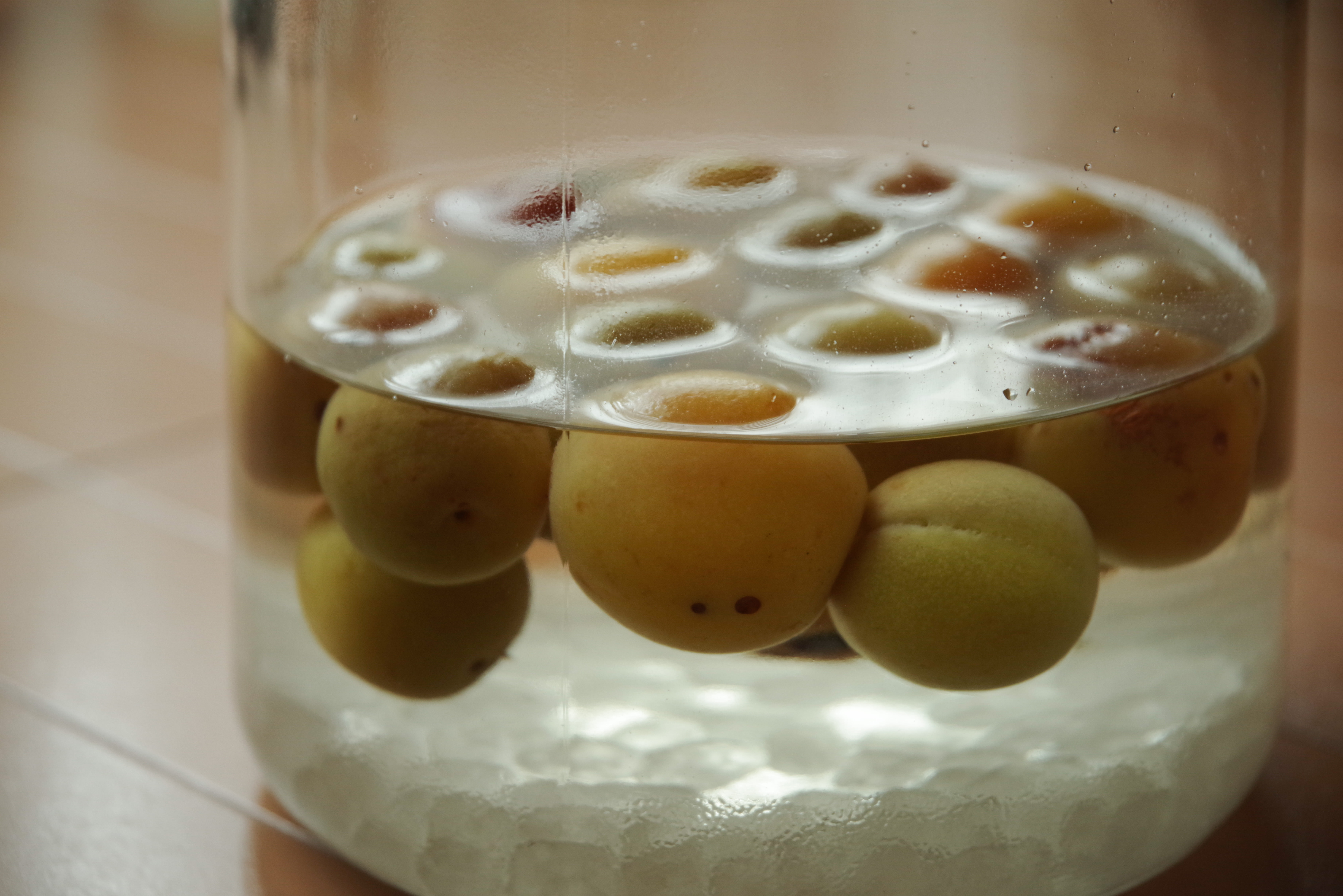 梅をたっぷり使った自家製梅酒の写真を無料ダウンロード フリー素材 ぱくたそ