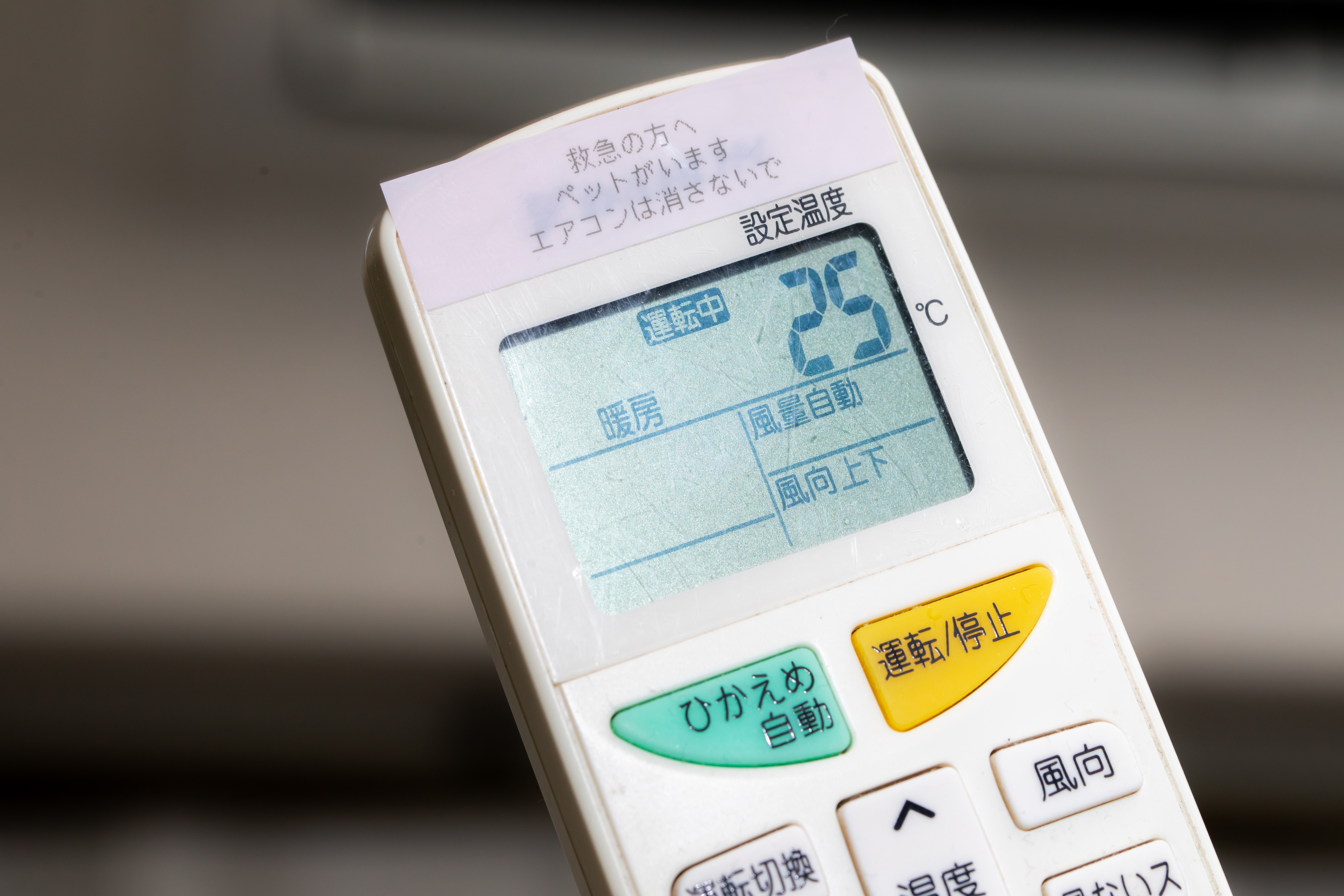 ペットがいるからエアコンを消さないでの写真を無料ダウンロード フリー素材 ぱくたそ ペットがいるからエアコンを消さないでの写真を無料ダウンロード フリー素材 ぱくたそ