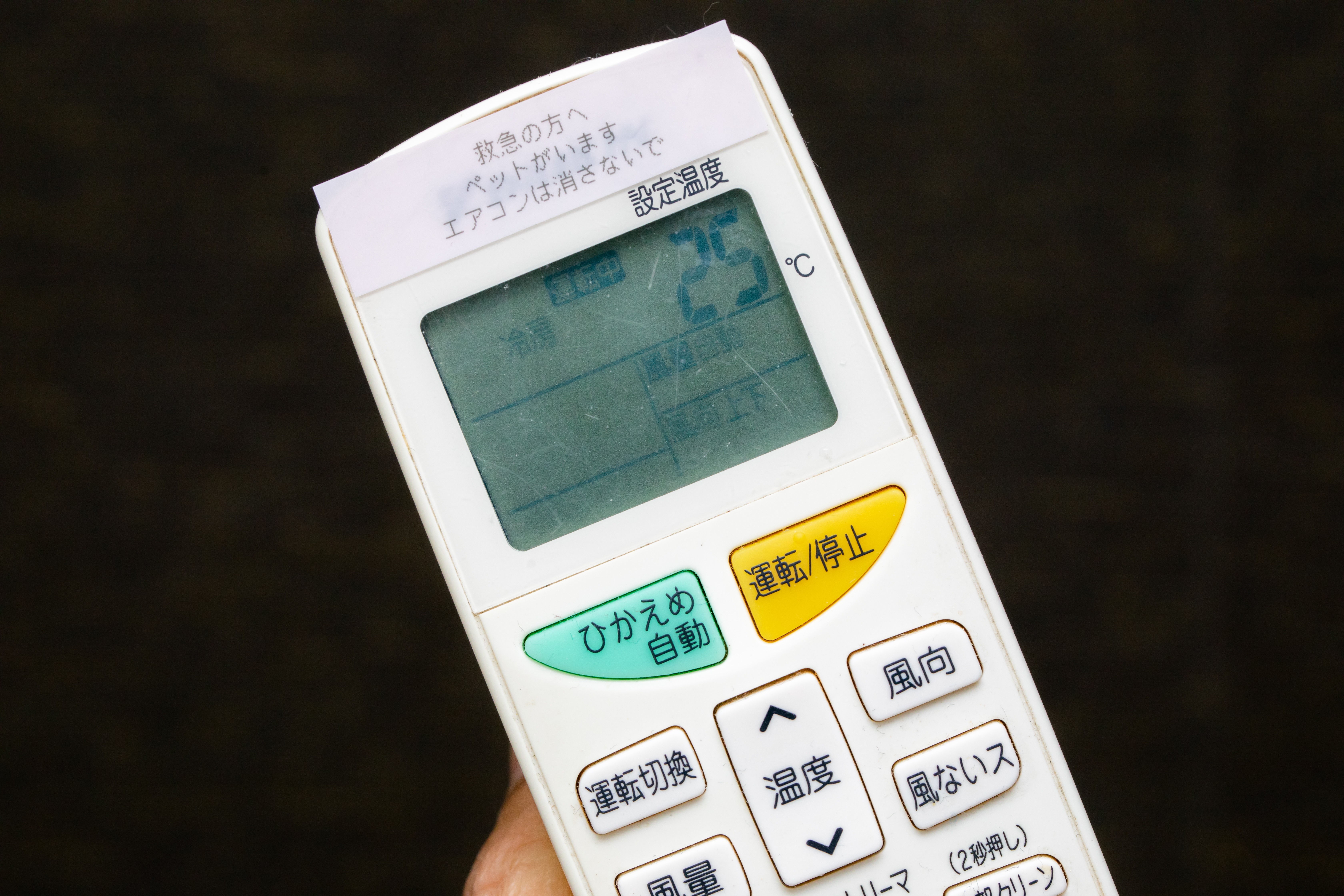 暖房25度のペットが居るお部屋の写真を無料ダウンロード フリー素材 ぱくたそ