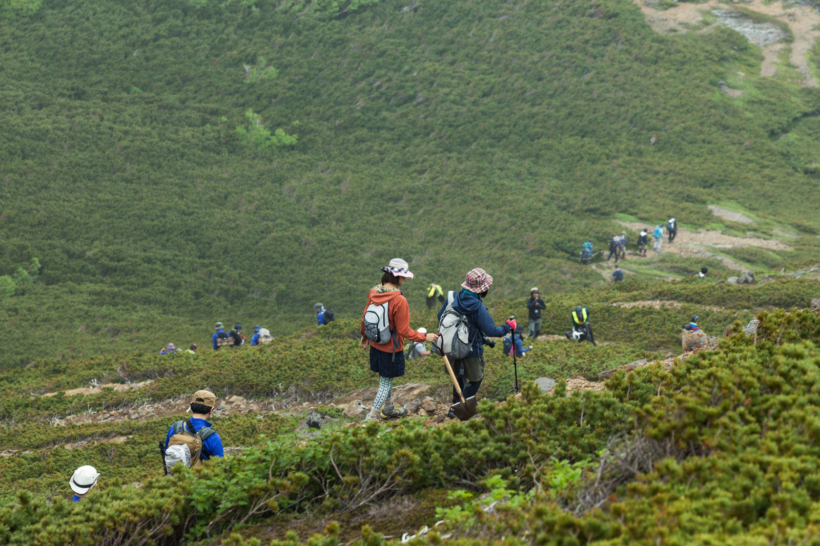 乗鞍新登山道を歩く登山者達のフリー素材