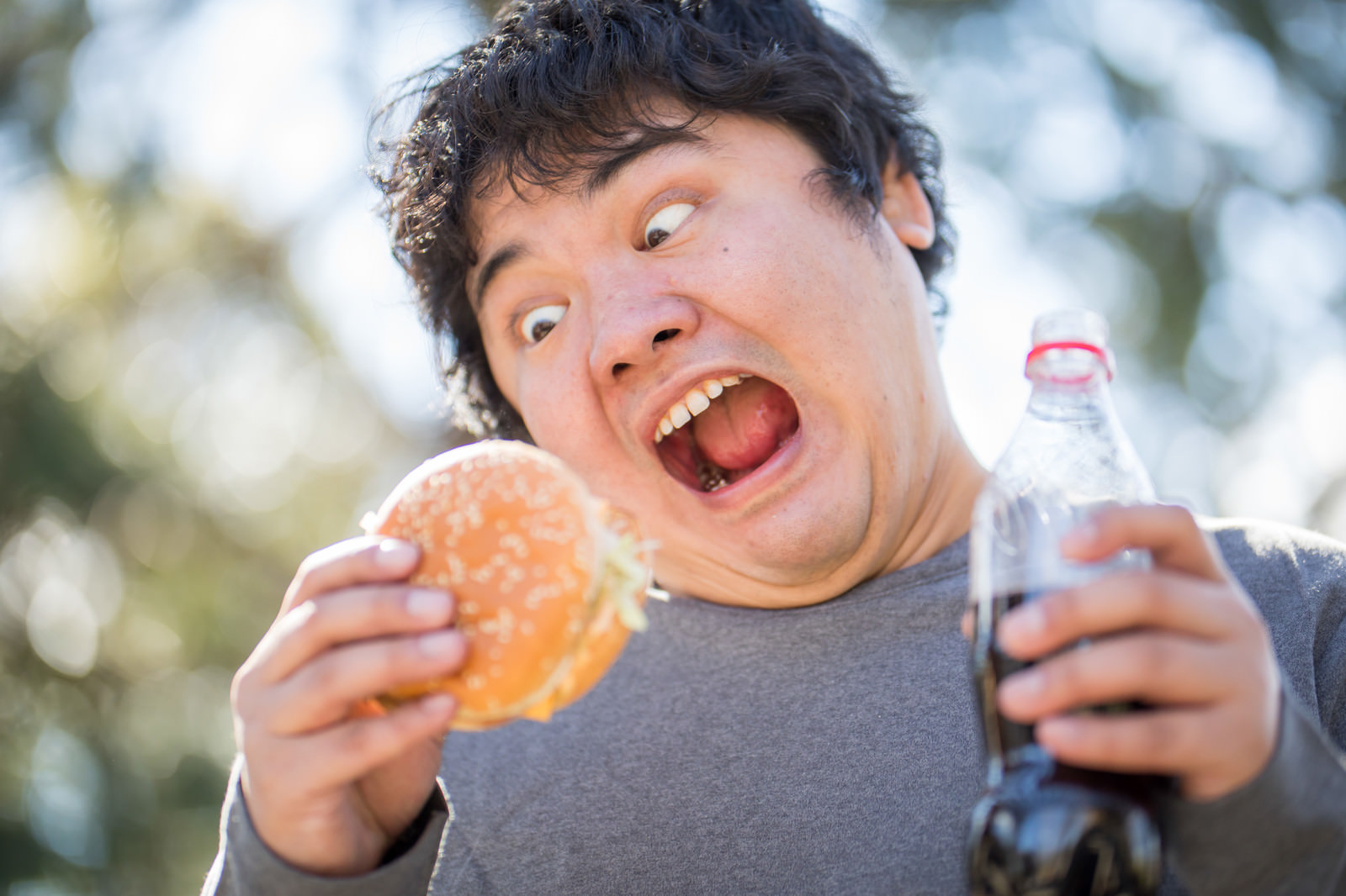 「大好物のハンバーガーを与えてみた大好物のハンバーガーを与えてみた」［モデル：段田隼人］のフリー写真素材