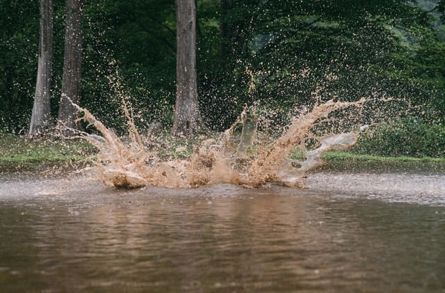 「○✕クイズで不正解の方(泥水バシャーン)」のフリー写真素材