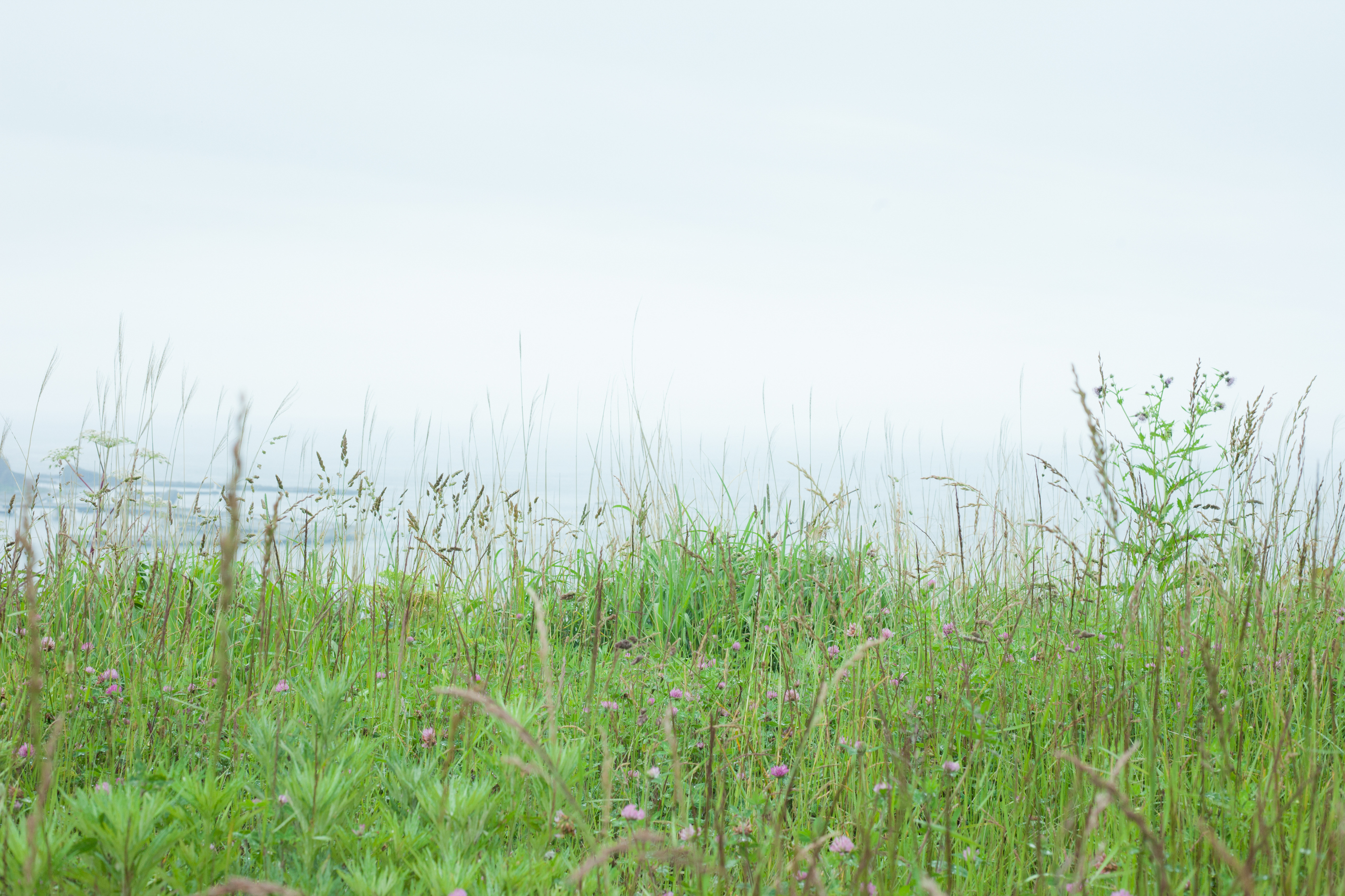 野原にひとりぼっちの写真 画像 を無料ダウンロード フリー素材のぱくたそ