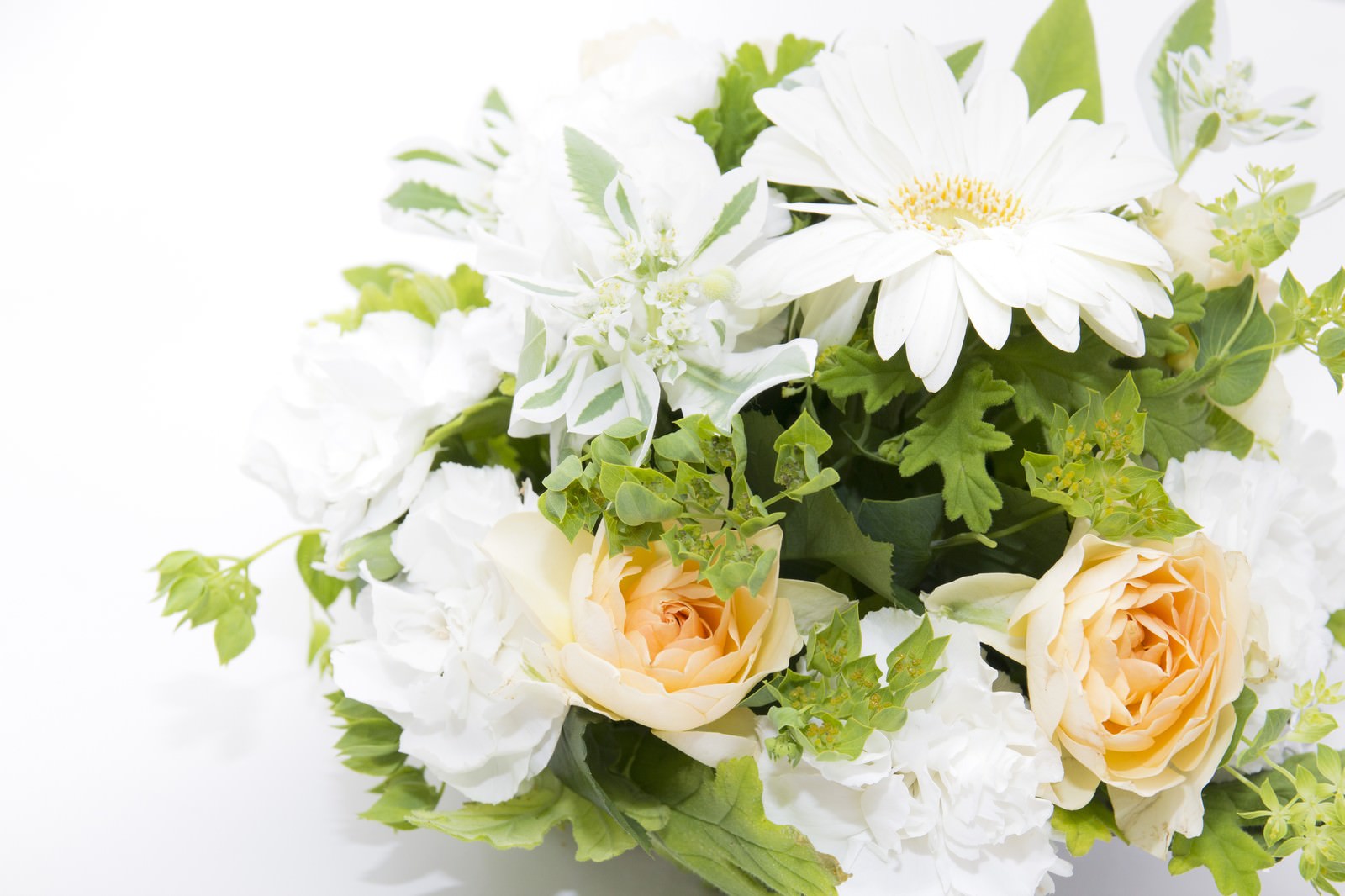 「白い花の贈りもの | フリー素材のぱくたそ」の写真