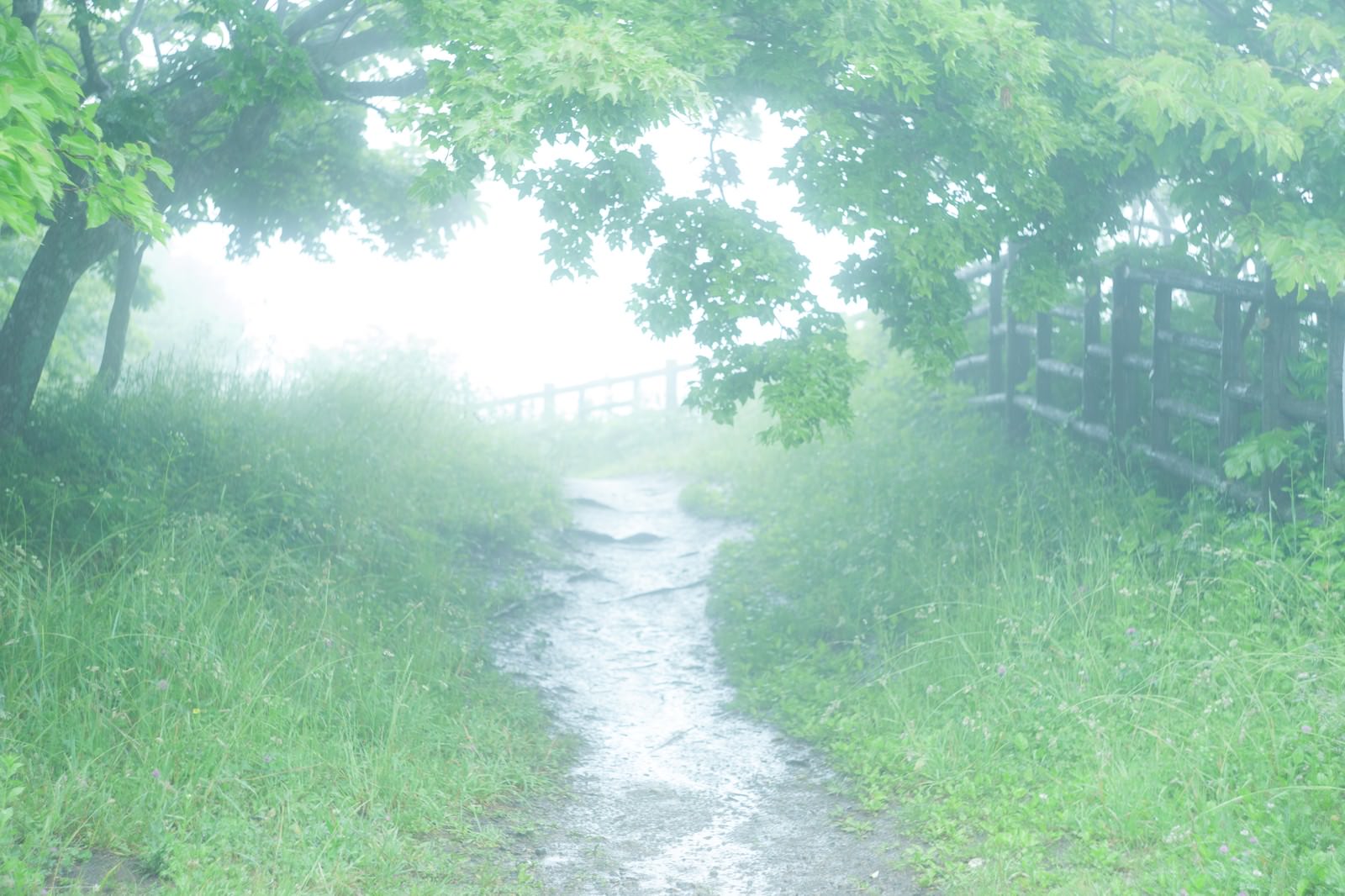霧の先にはの写真を無料ダウンロード フリー素材 ぱくたそ 霧の先にはの写真を無料ダウンロード フリー素材 ぱくたそ