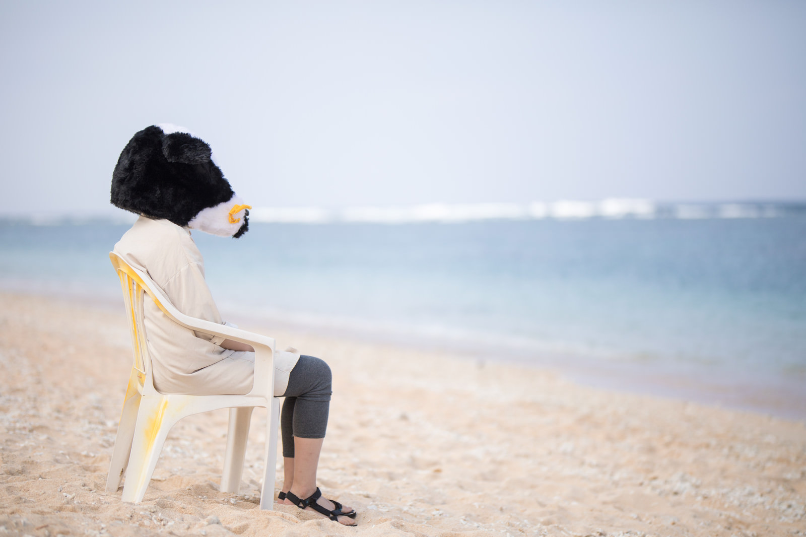 「宮古島の美しい海を見て失恋の傷を癒やす牛ガール | フリー素材のぱくたそ」の写真［モデル：古性のっち］
