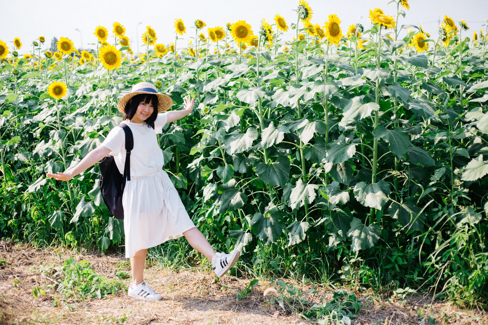 ひまわり畑ではしゃぐ彼女の写真 フリー素材は ぱくたそ 写真を無料ダウンロード