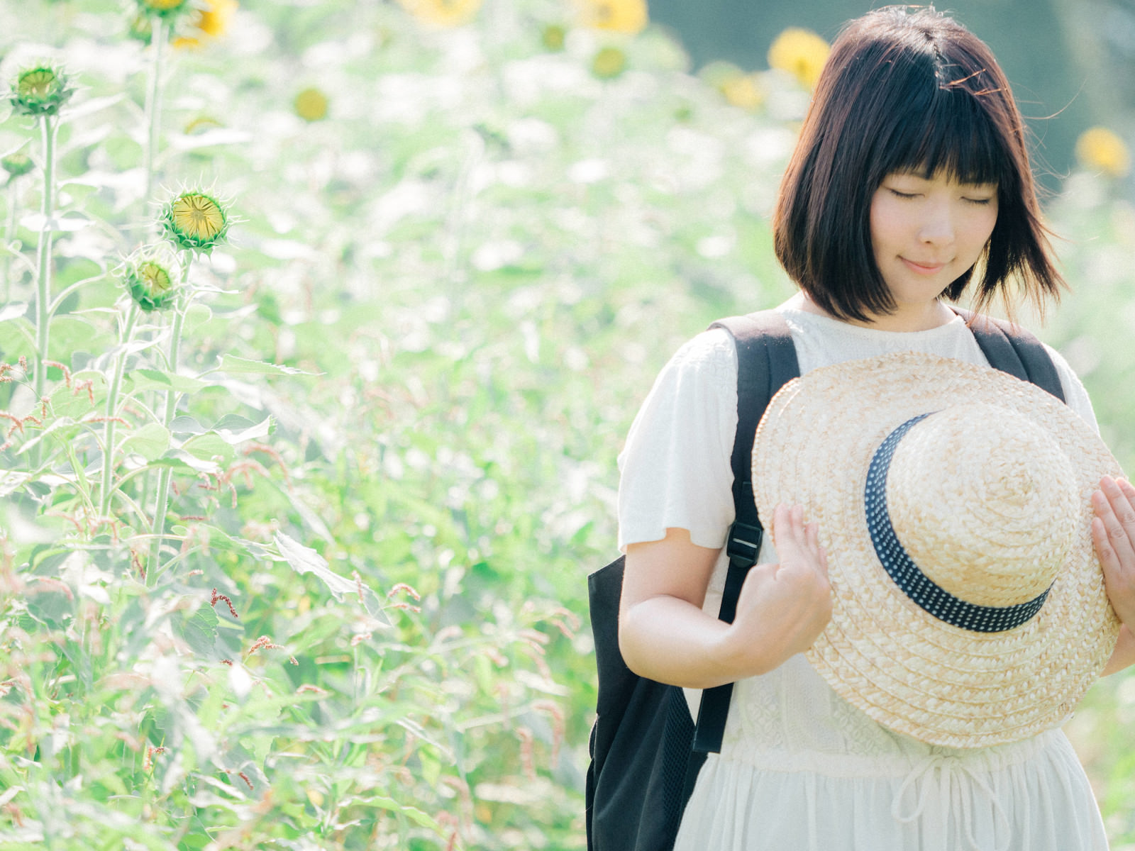 「大好きなひまわり畑、また来年も来れますように。」の写真［モデル：にゃるる］