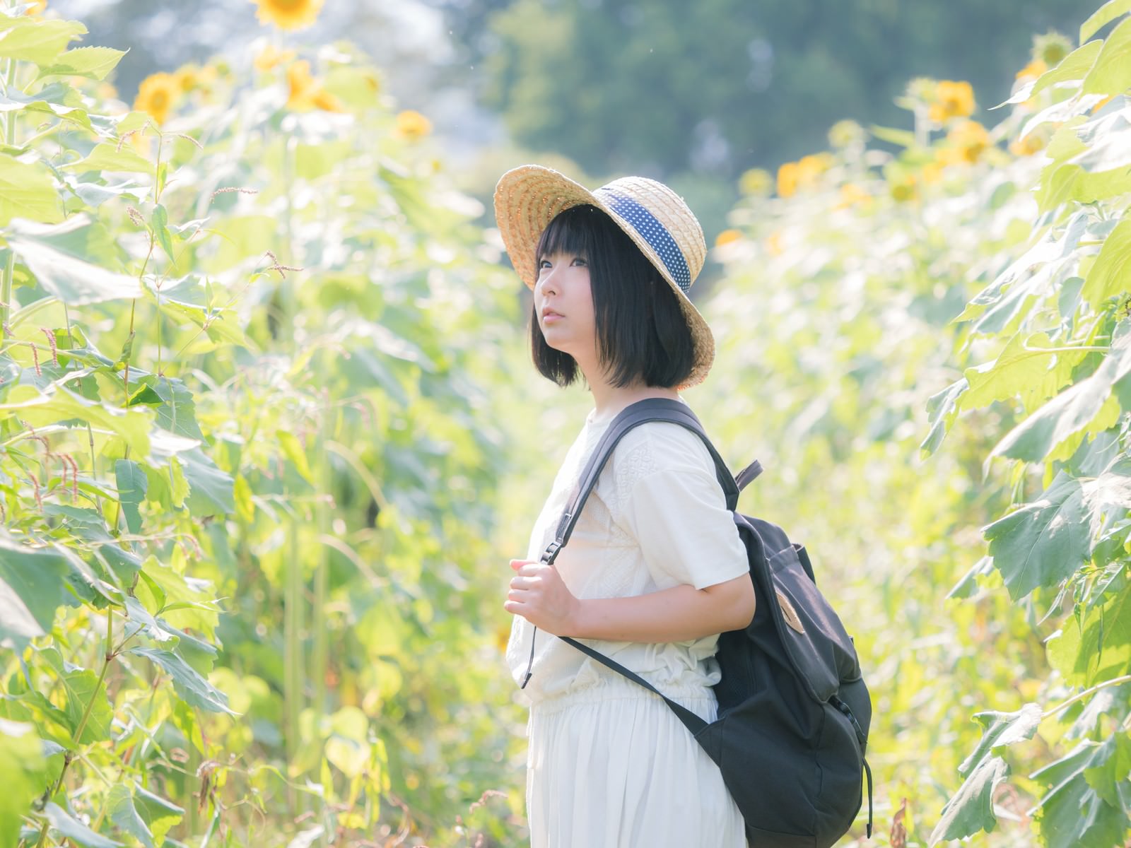 ひまわり畑となつやすみの写真 画像 を無料ダウンロード フリー素材のぱくたそ