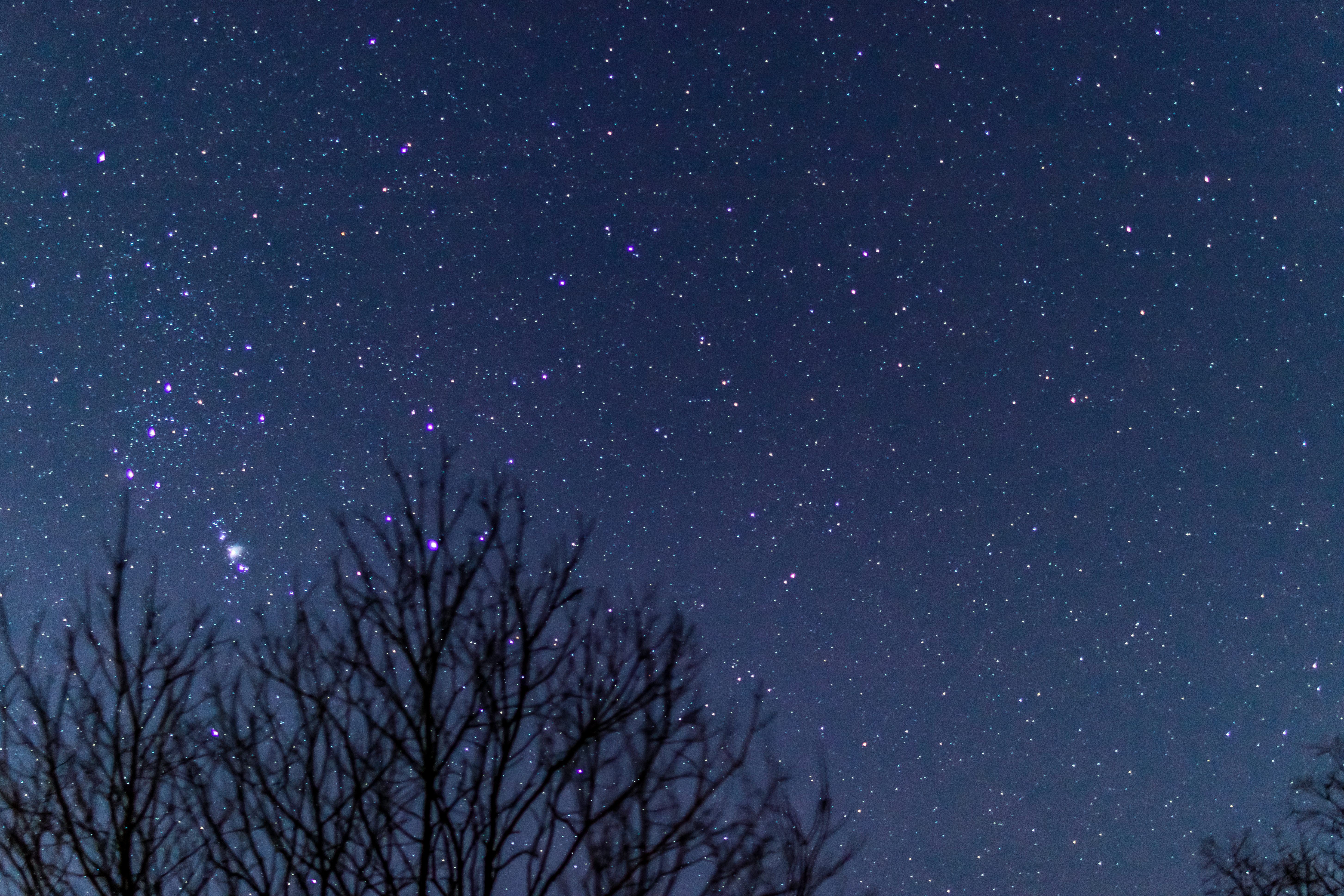 冬の星空のフリー素材 ぱくたそ