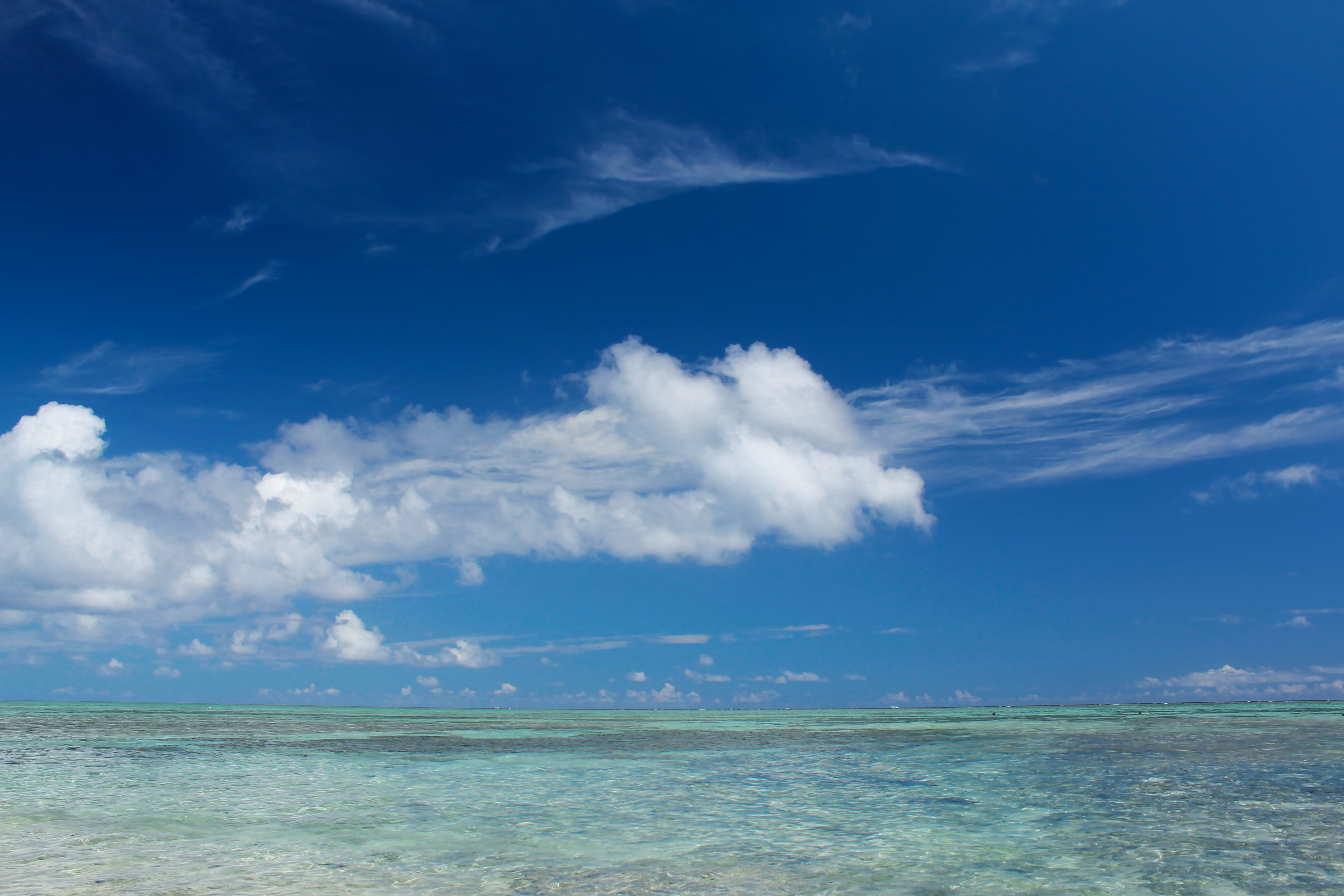 夏の透き通る海の写真 画像 フリー素材 ぱくたそ