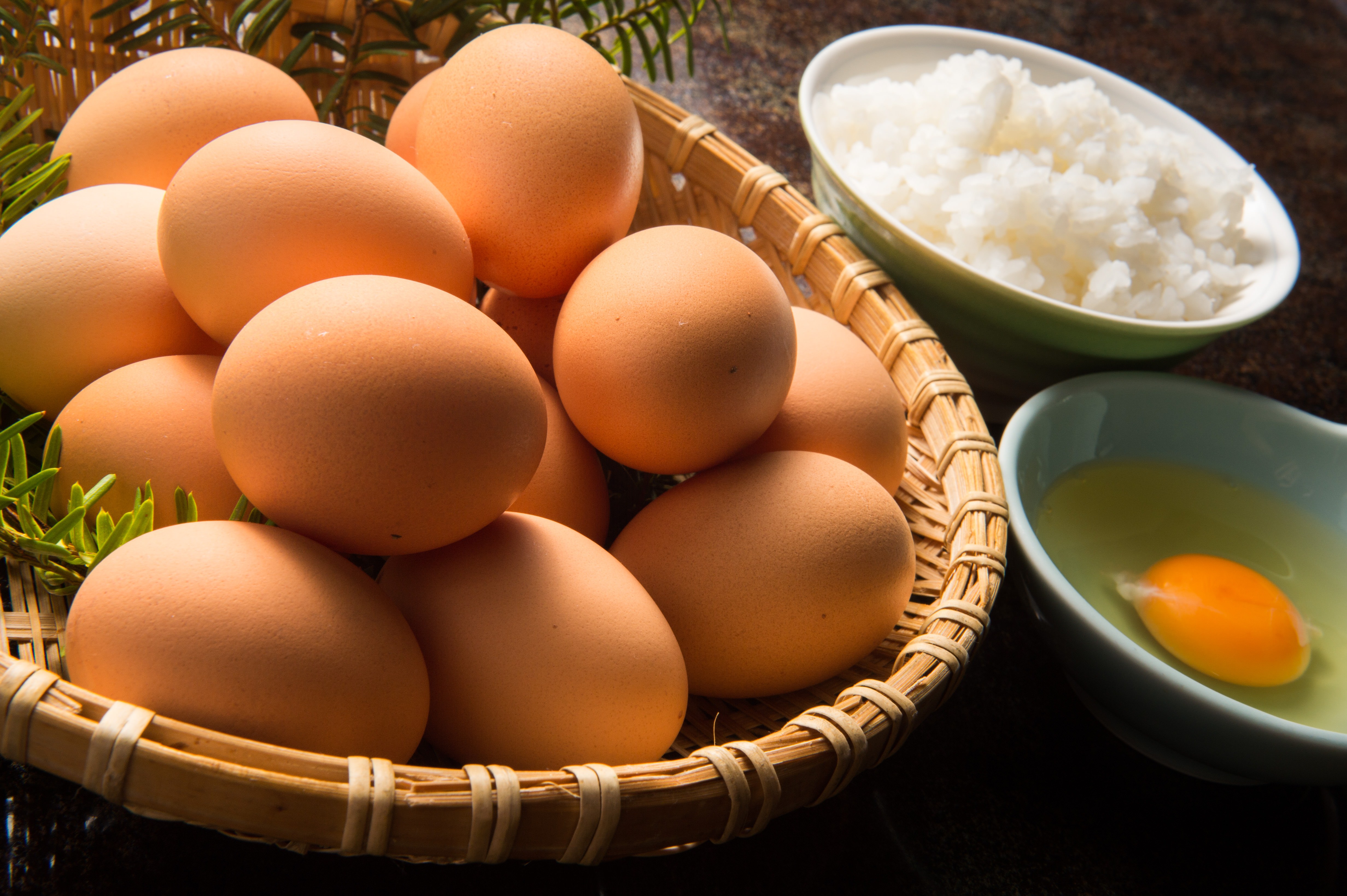 卵かけご飯が食べ放題 料理宿栄太郎 の写真を無料ダウンロード フリー素材 ぱくたそ