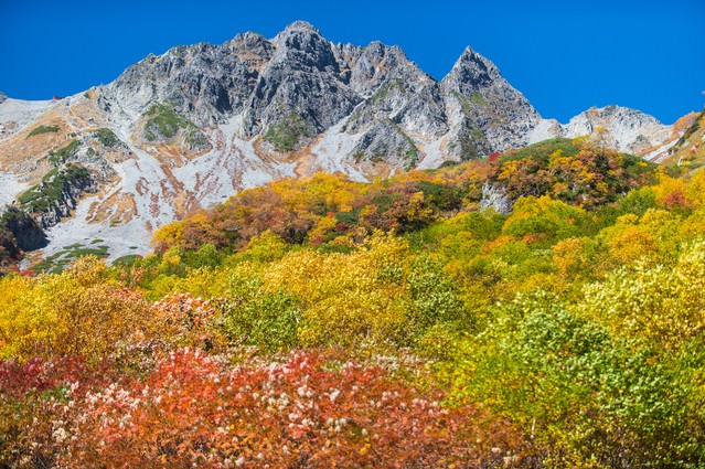 「紅葉に彩られた涸沢の先にあるザイテングラードと穂高」のフリー写真素材