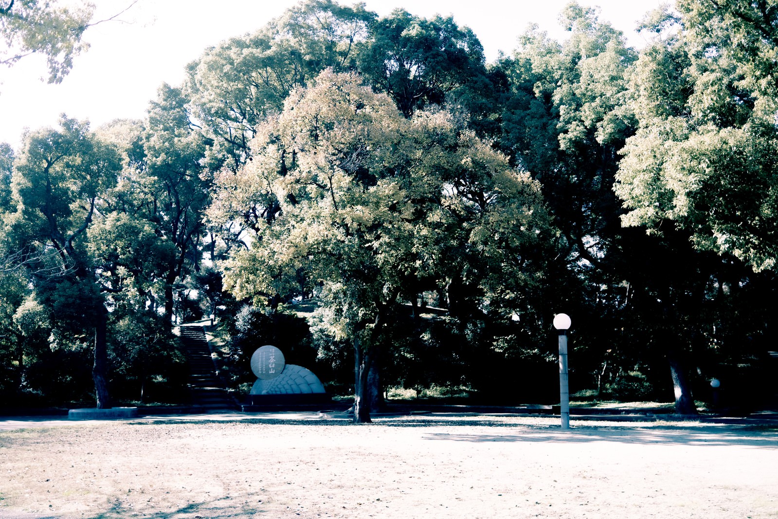 「木々の茂った公園の広場」の写真