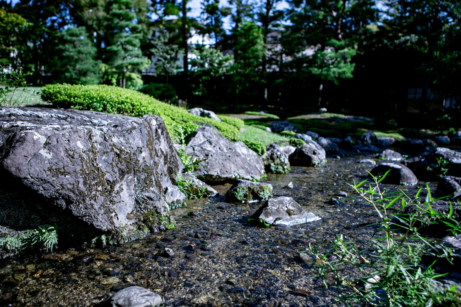「日本庭園にある川」の写真