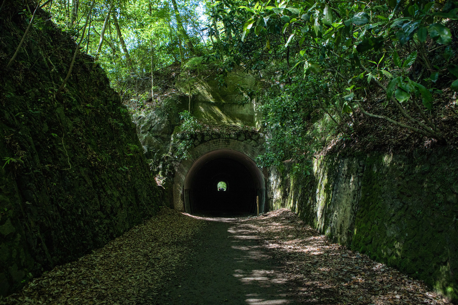 ハイキングコースから見たトンネル Jr福知山線廃線敷 の写真 画像 フリー素材 ぱくたそ