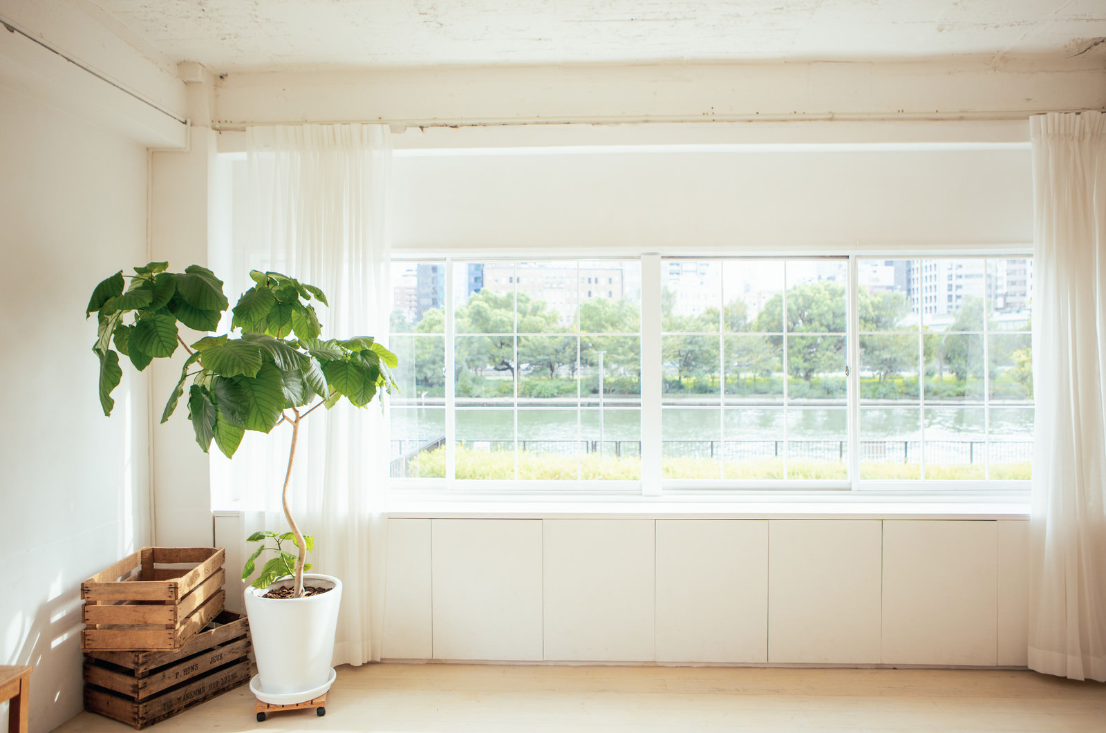 窓から見える風景と観葉植物の写真素材 ぱくたそ