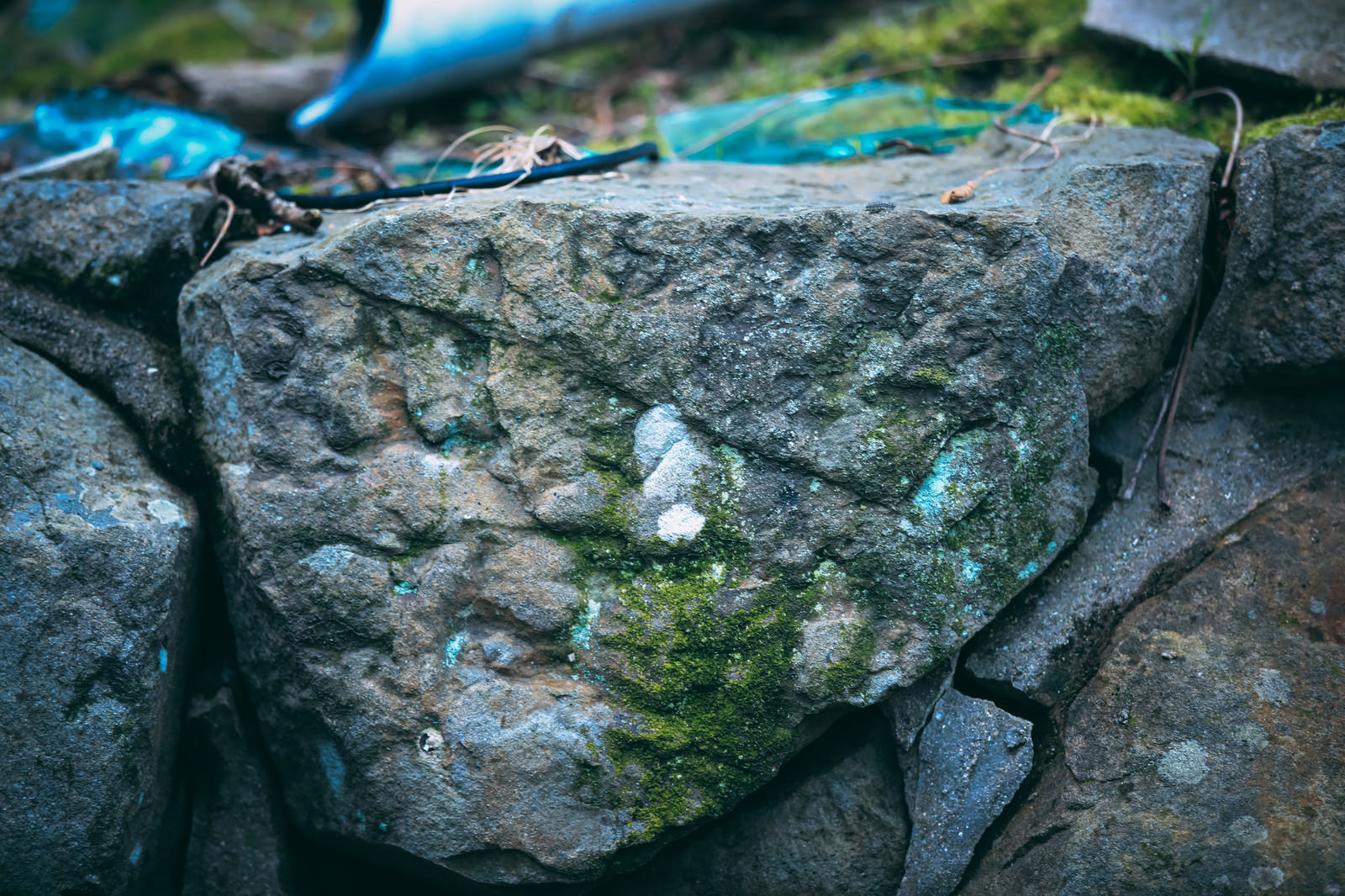 「汚れと苔の生えた岩」の写真