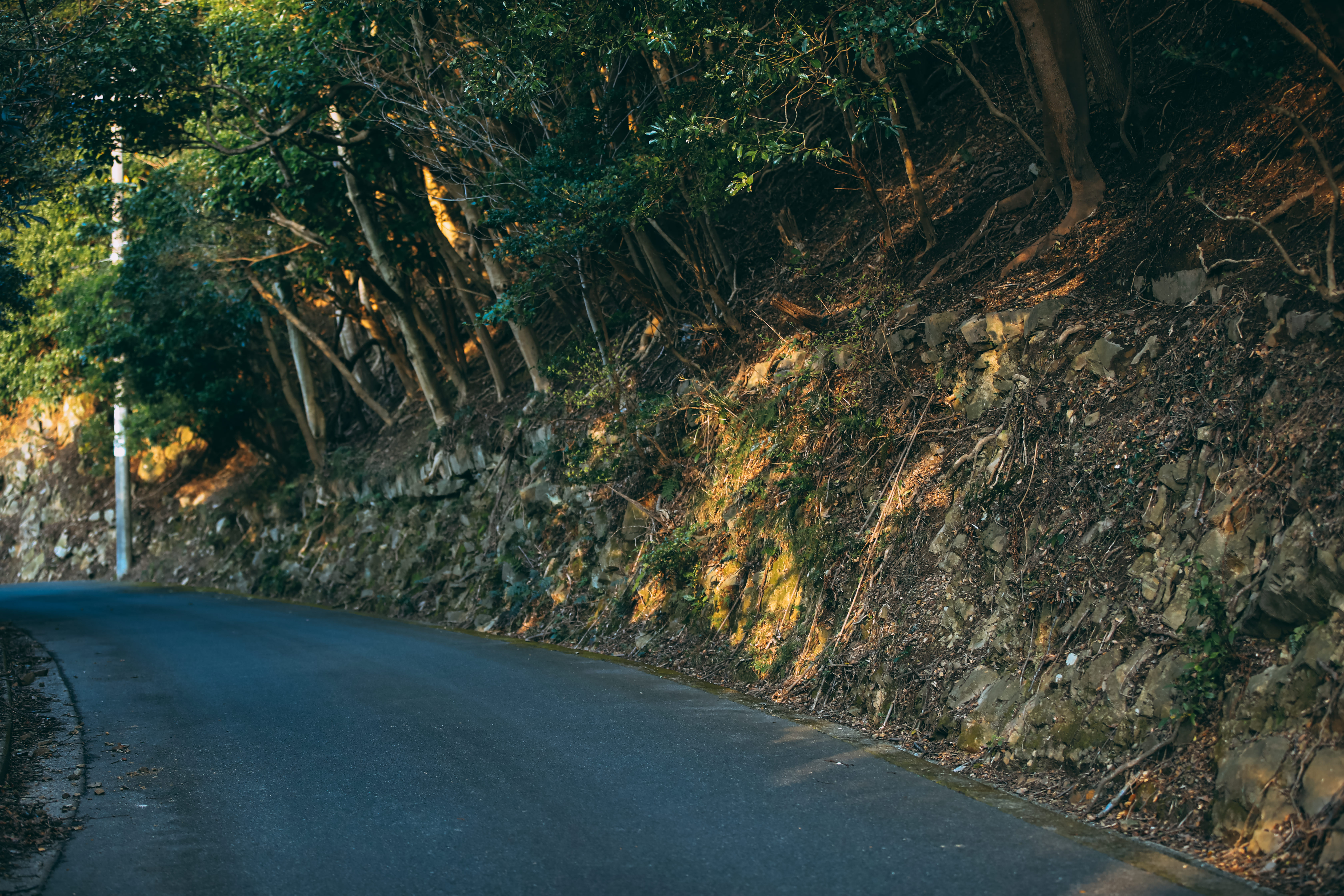 山道カーブからのぞく山肌のフリー素材 ぱくたそ