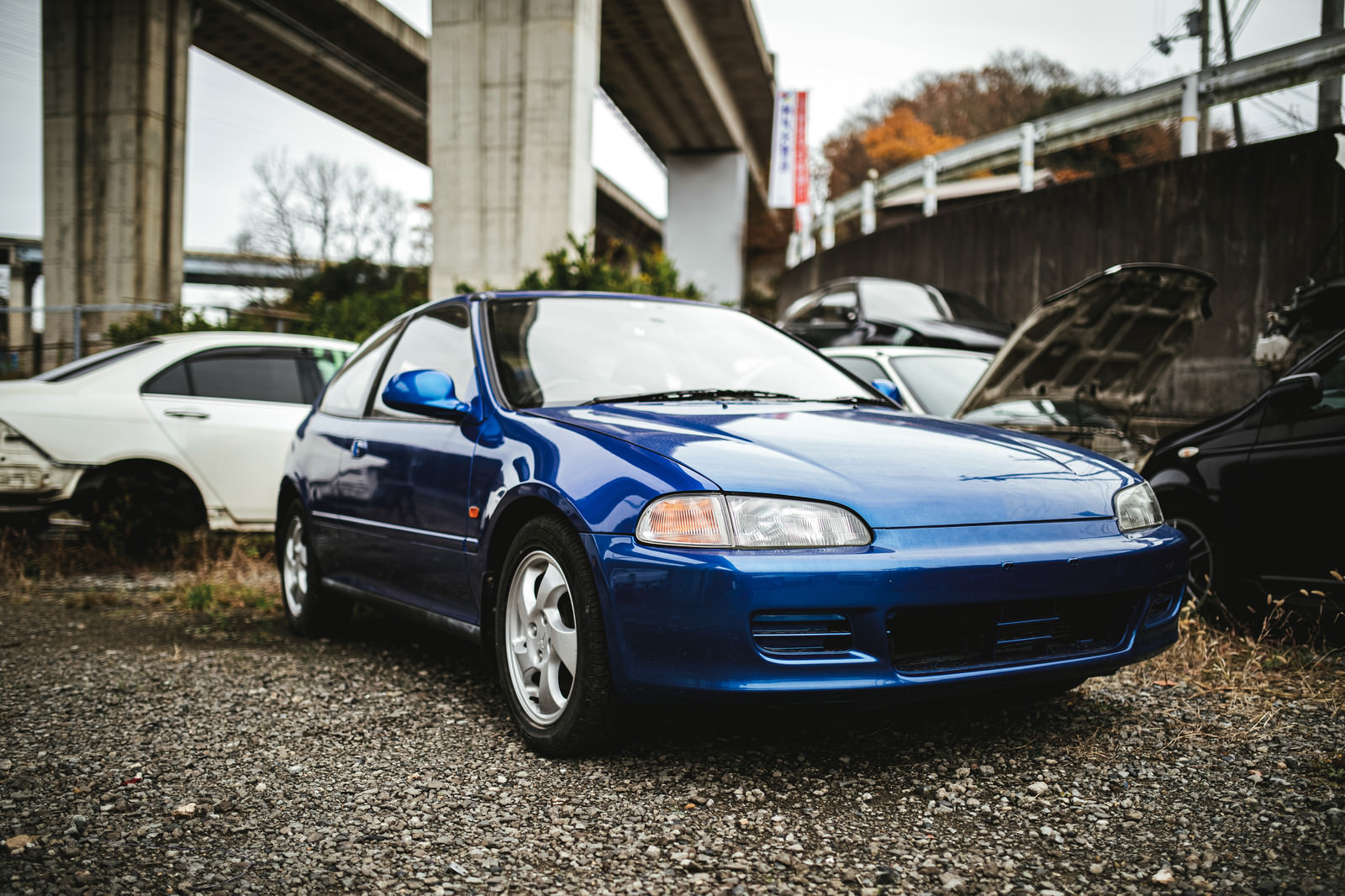 「ナンバーの外された青い自動車」の写真