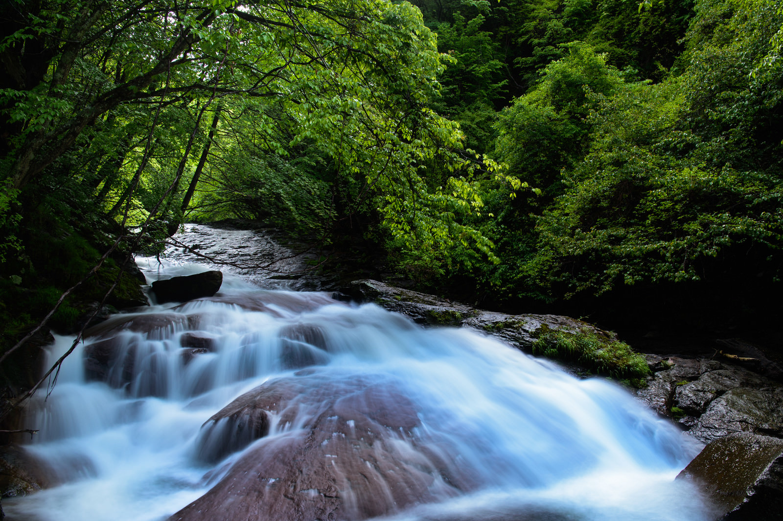 横谷峡の渓流の写真素材 ぱくたそ