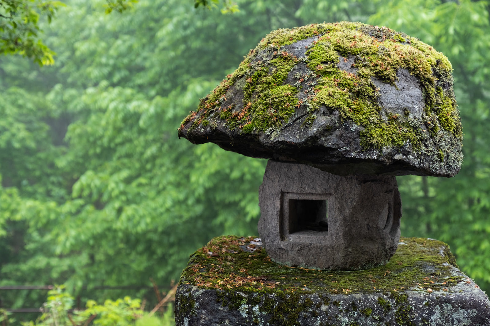 苔の石灯籠の写真 画像 フリー素材 ぱくたそ