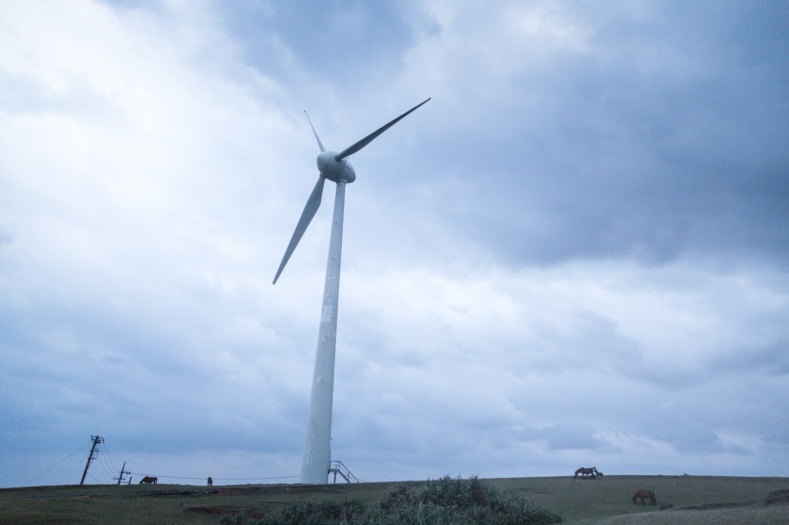 与那国島の巨大風力発電と馬の写真を無料ダウンロード フリー素材 ぱくたそ