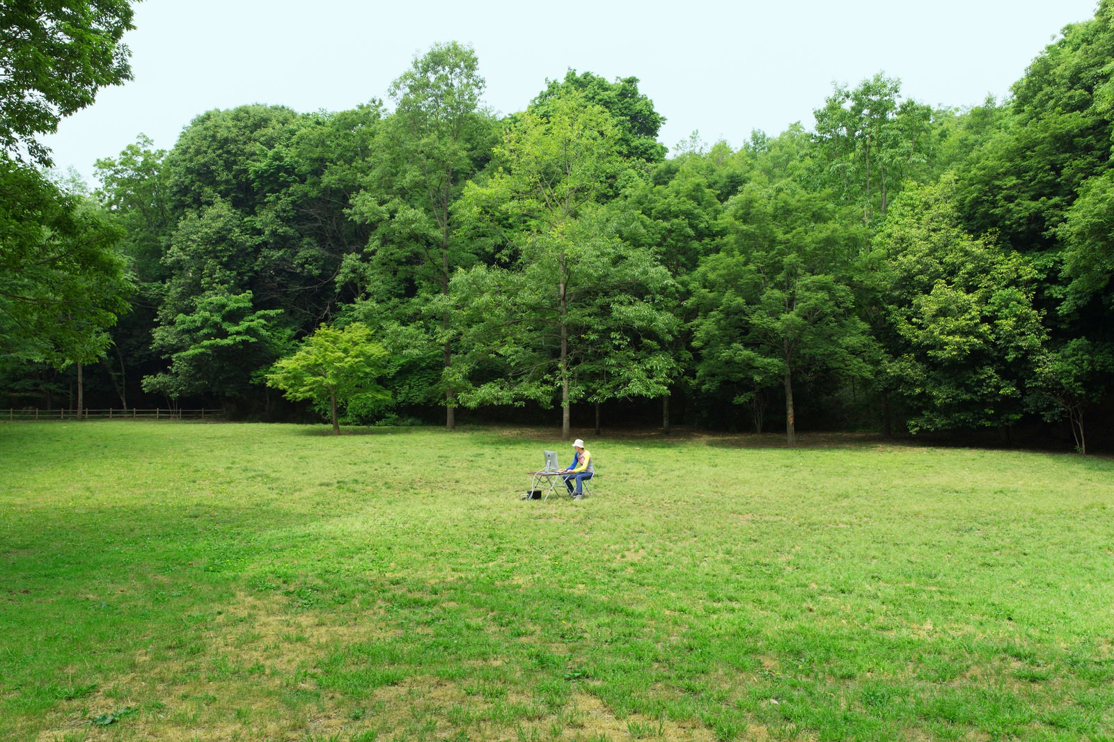 森林公園でノマドなうの写真素材 ぱくたそ