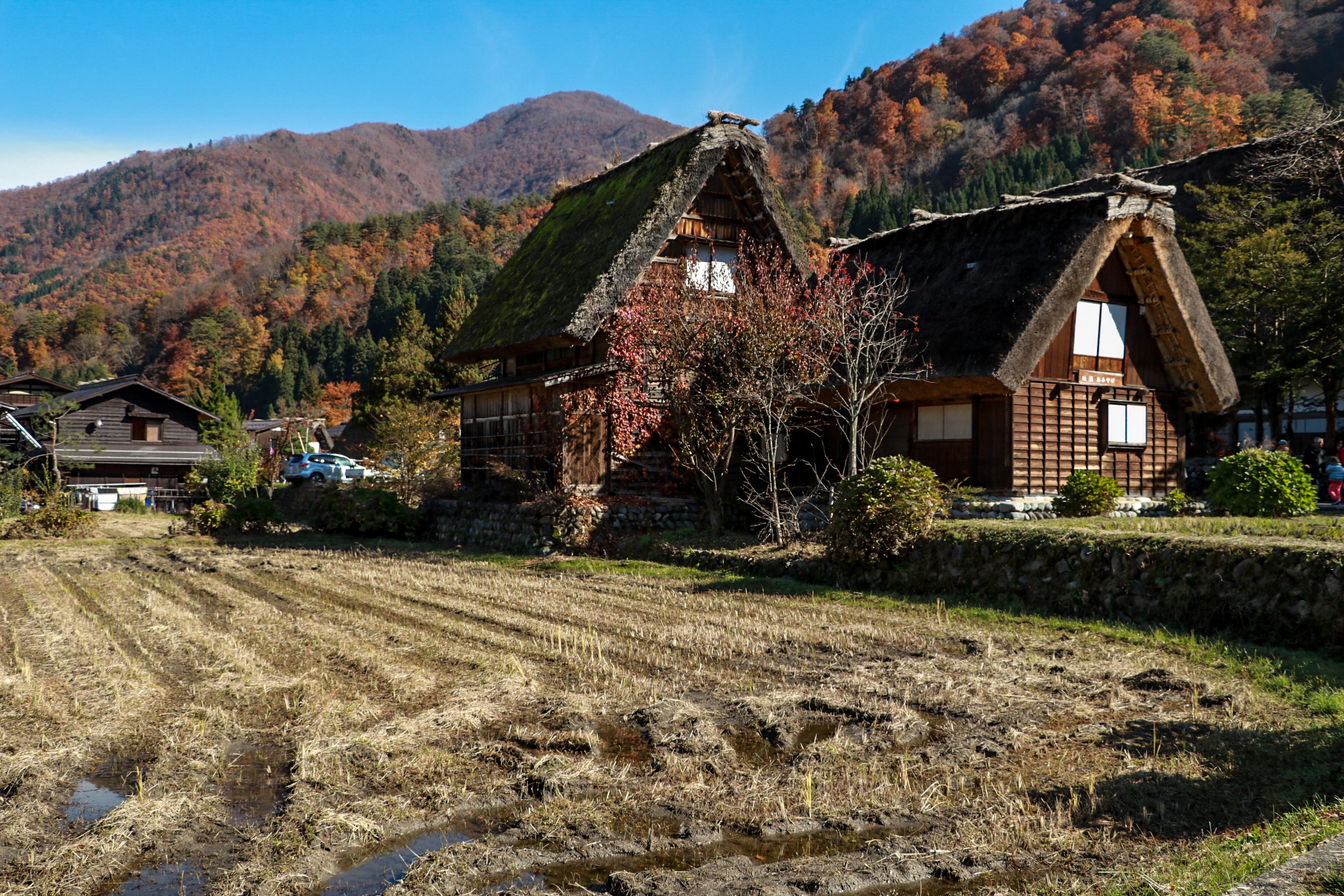 稲刈り後の白川郷の写真 画像 を無料ダウンロード フリー素材のぱくたそ 稲刈り後の白川郷の写真 画像 を無料ダウンロード フリー素材のぱくたそ