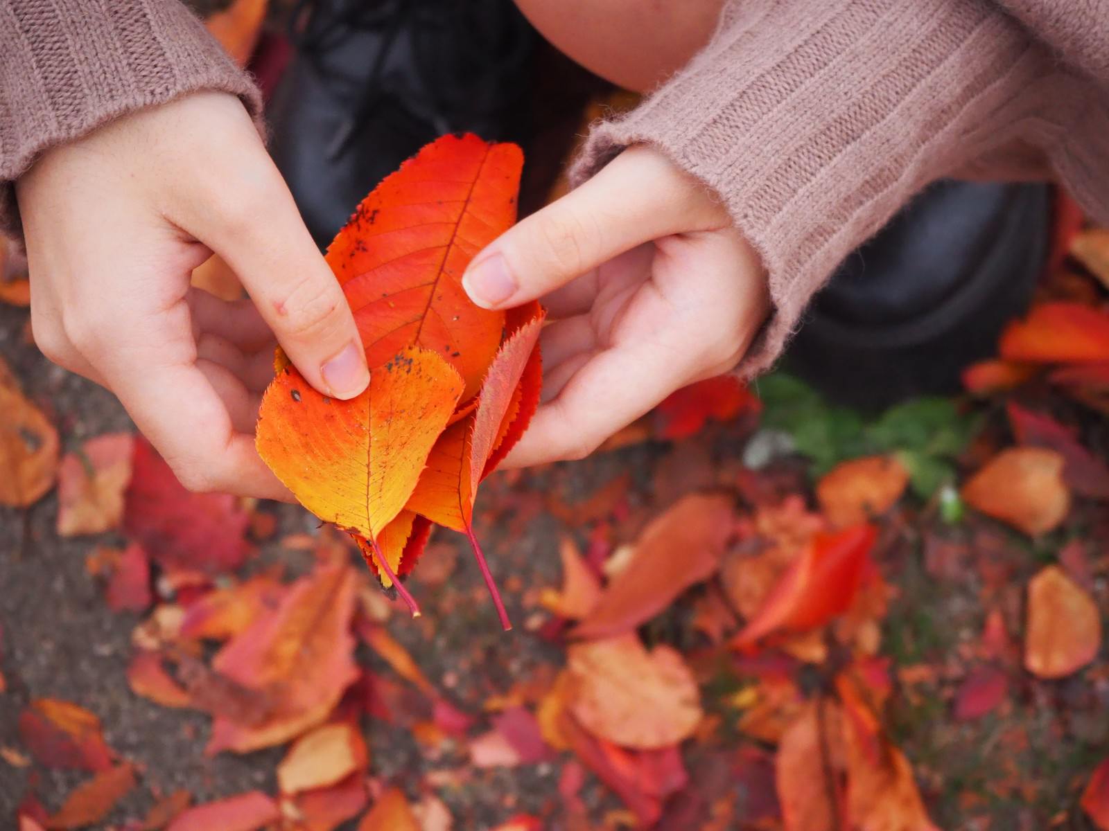 ãç´èããè½ã¡èãæ¾ãå¥³æ§ãã®åç