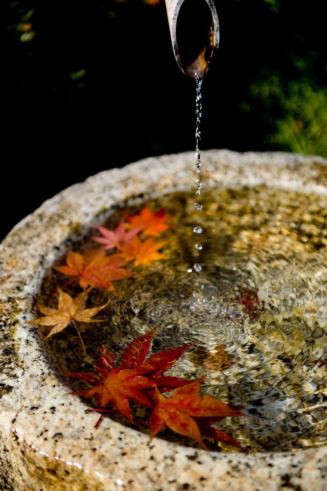 「紅葉と水滴紅葉と水滴」のフリー写真素材を拡大