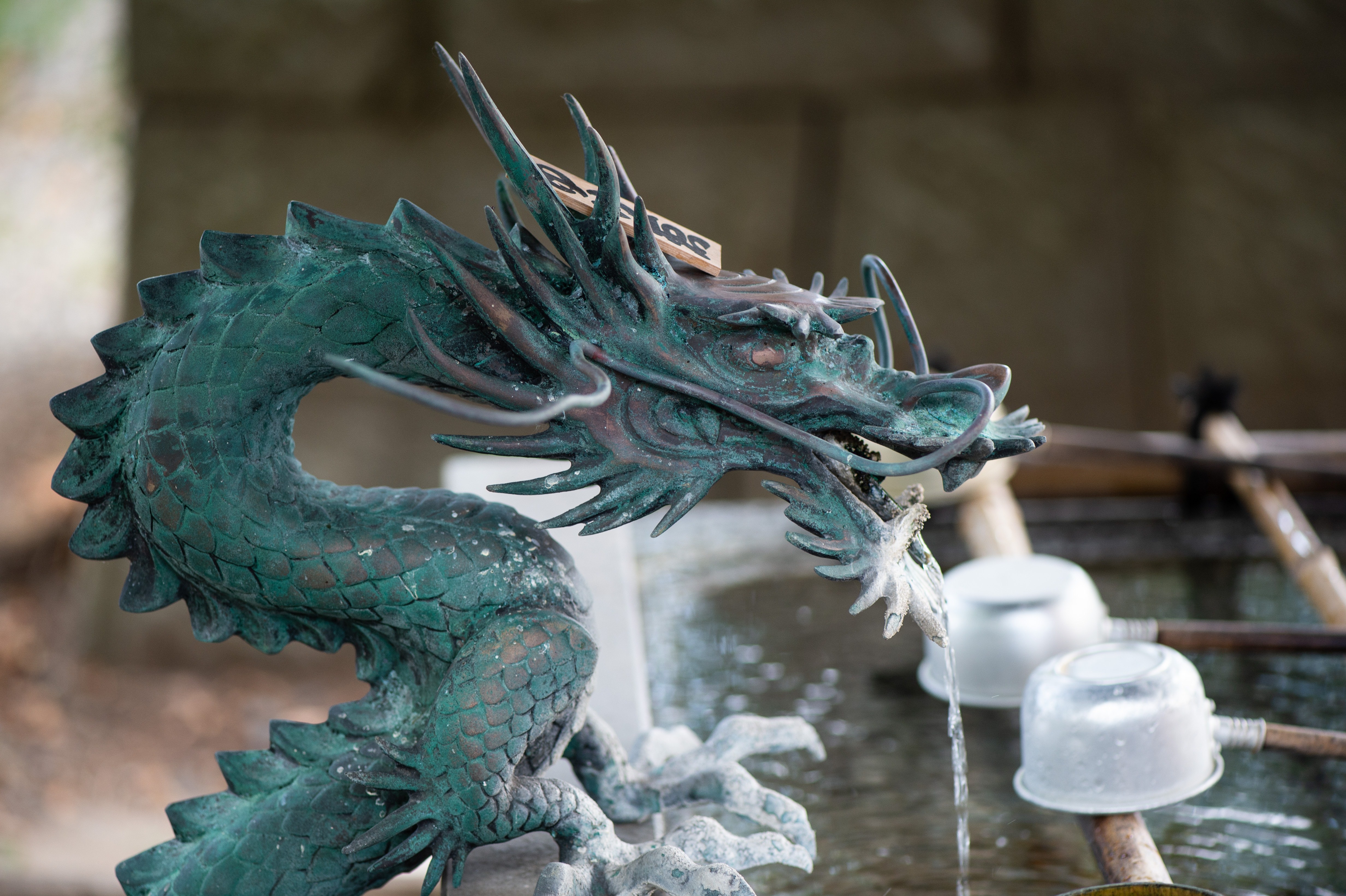 玉前神社の手水舎におられる龍神様 千葉県一宮町 の写真素材 ぱくたそ