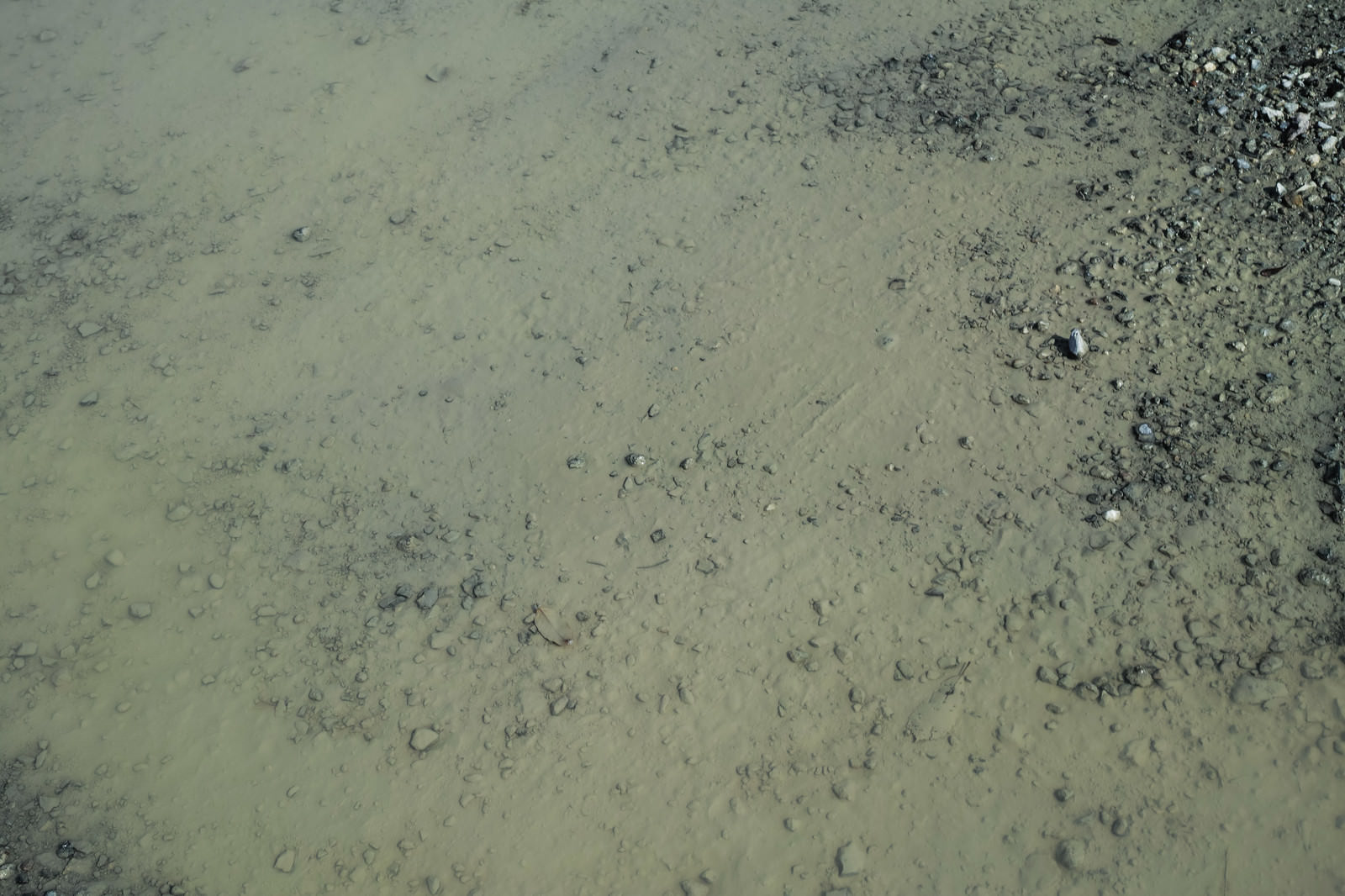 雨上がりの未舗装道路の水溜り テクスチャ の写真を無料ダウンロード フリー素材 ぱくたそ