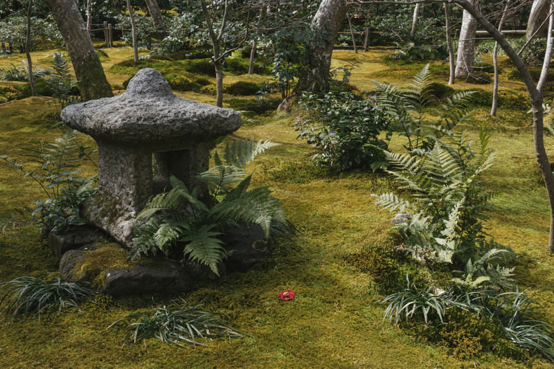 油絵原画 京都の苔庭（祇王寺）サイズM10 写実画