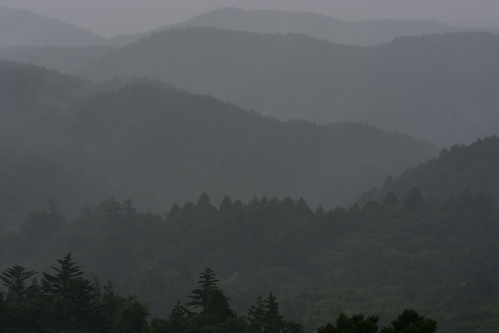 雨に煙る山並みの写真素材 ぱくたそ