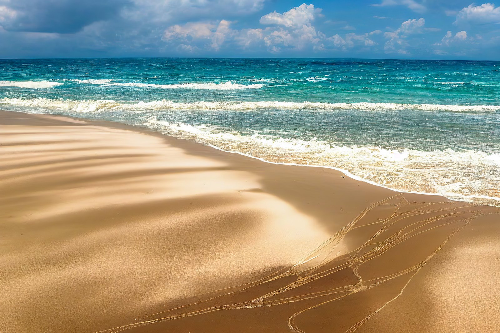 「南国の白浜と青い海 | フリー素材のぱくたそ」の写真